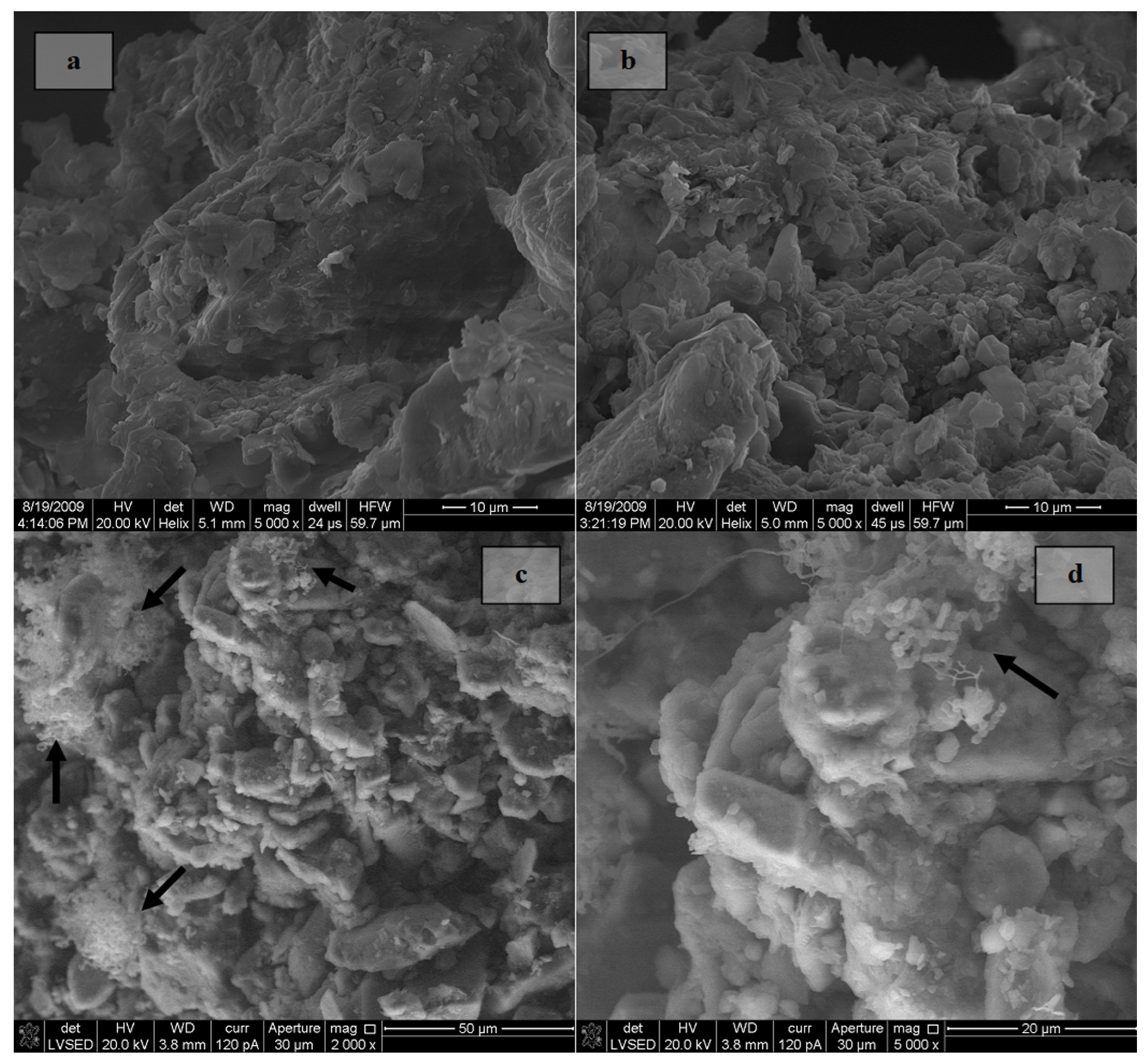 Sustainability 15 01977 g009 Sustainability 15 01977 g009