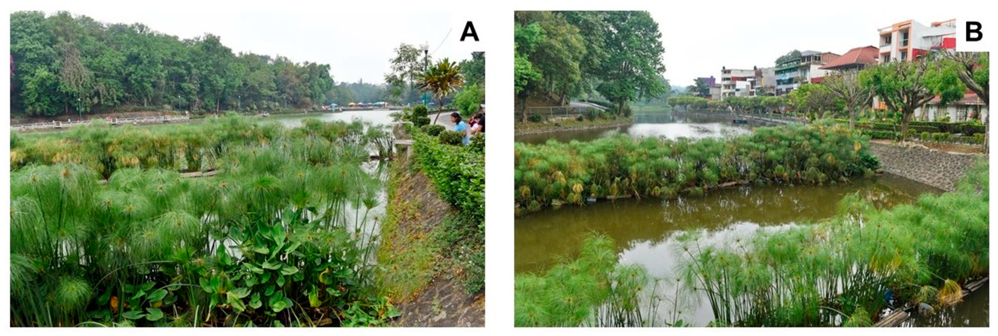 Sustainability 15 02000 g002 Sustainability 15 02000 g002