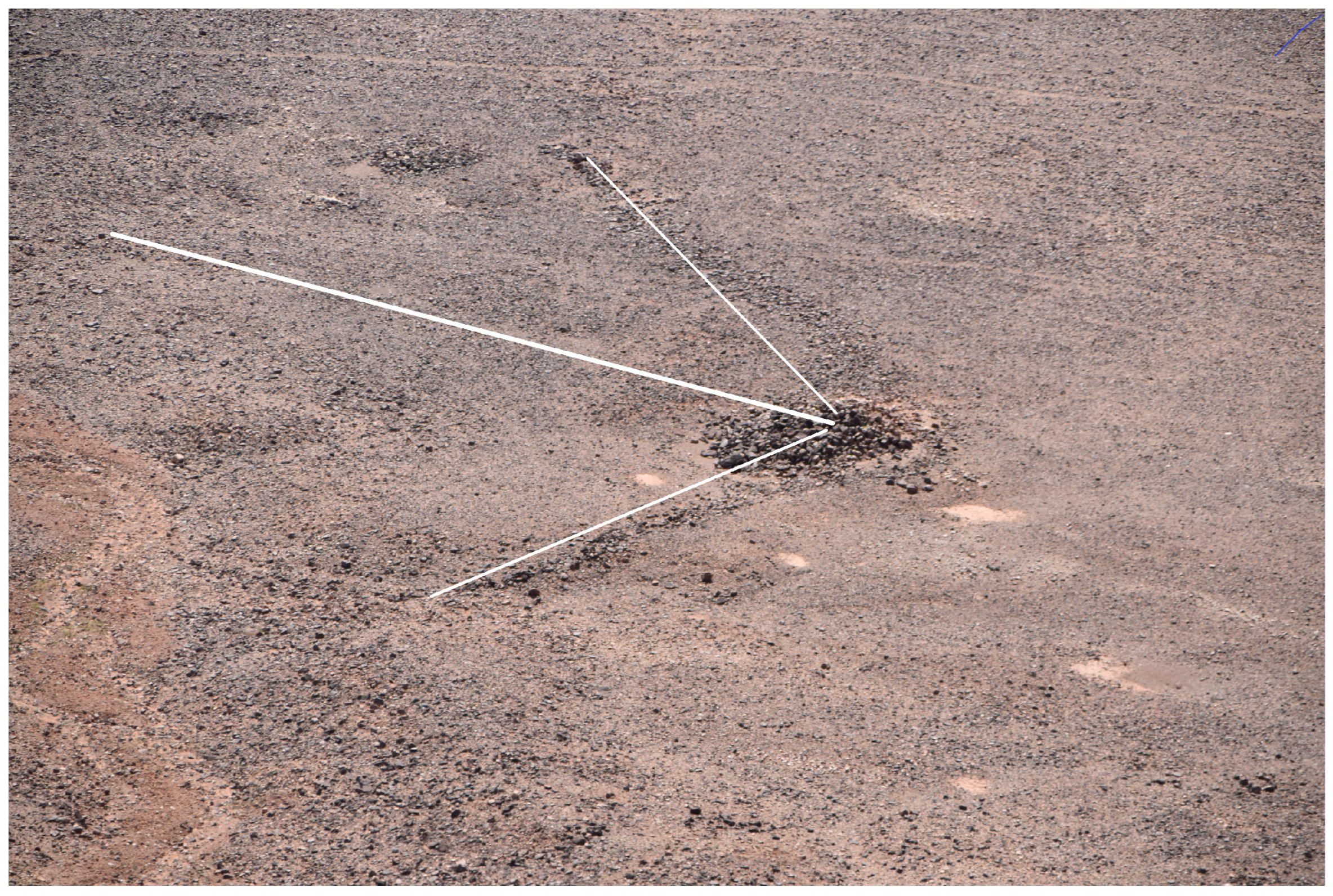 Sustainability 15 02005 g005 550