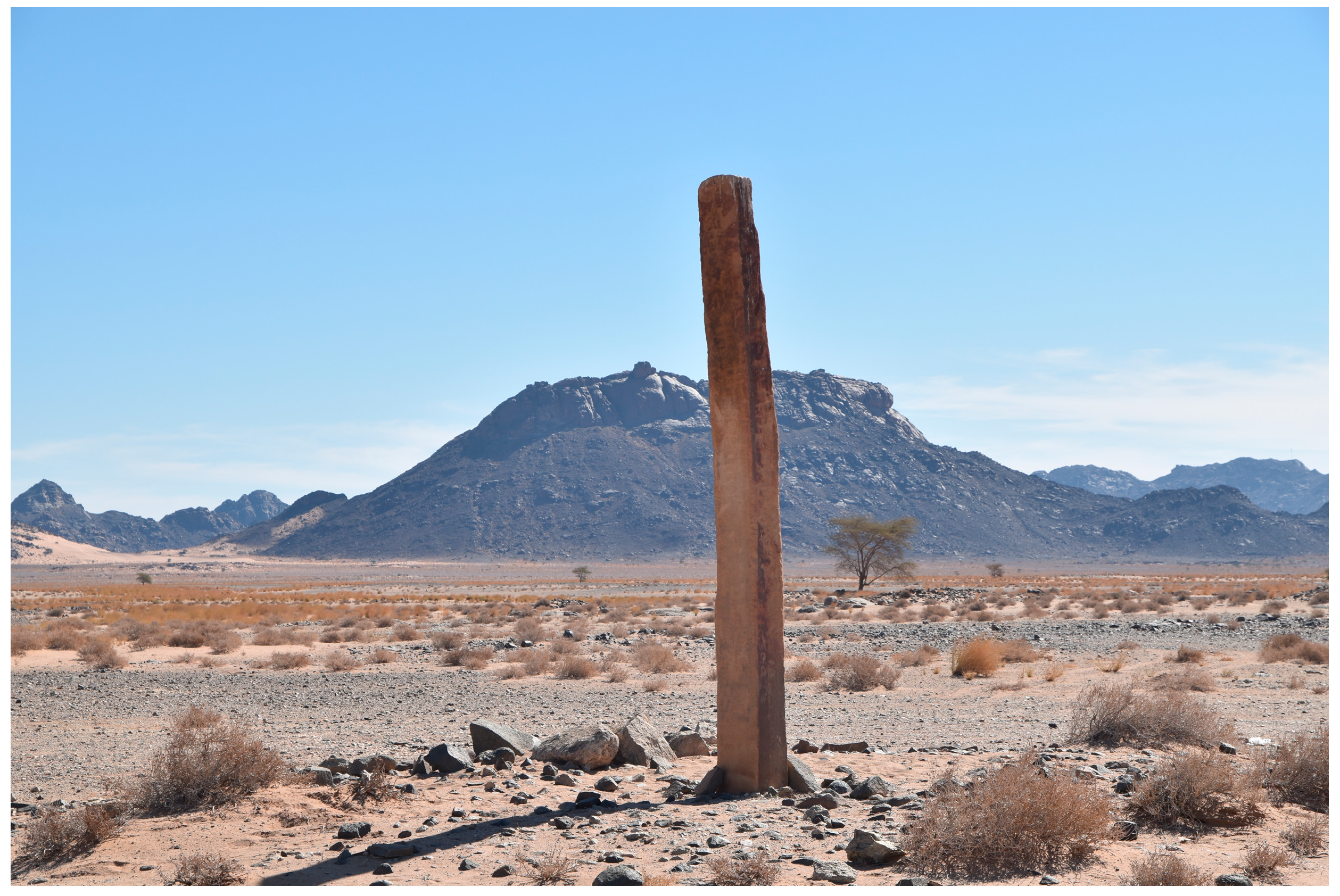 Sustainability 15 02005 g007 550