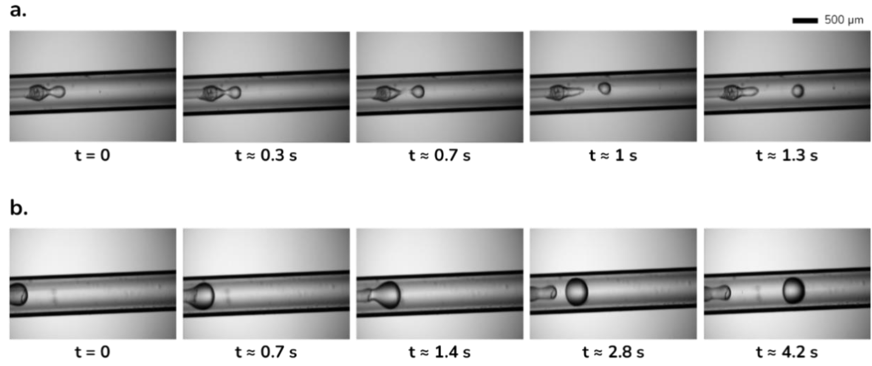 Sustainability 15 02023 g004