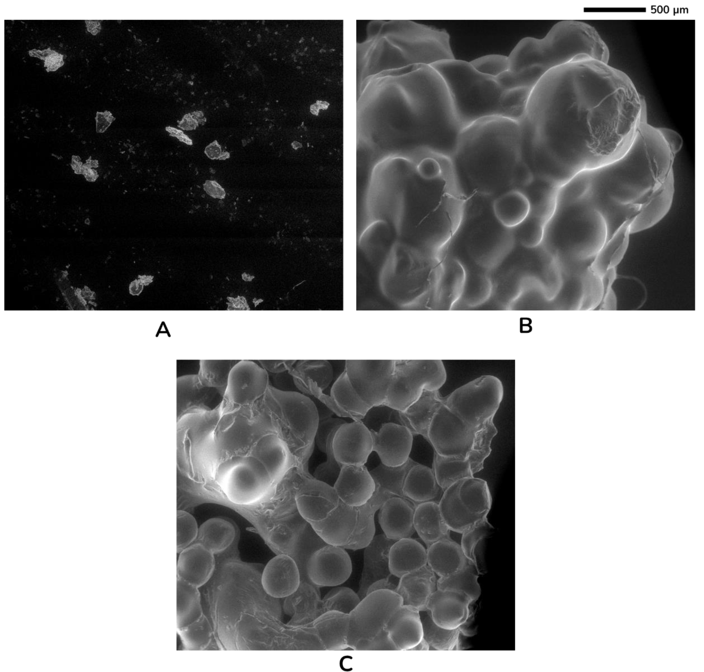 Sustainability 15 02023 g006