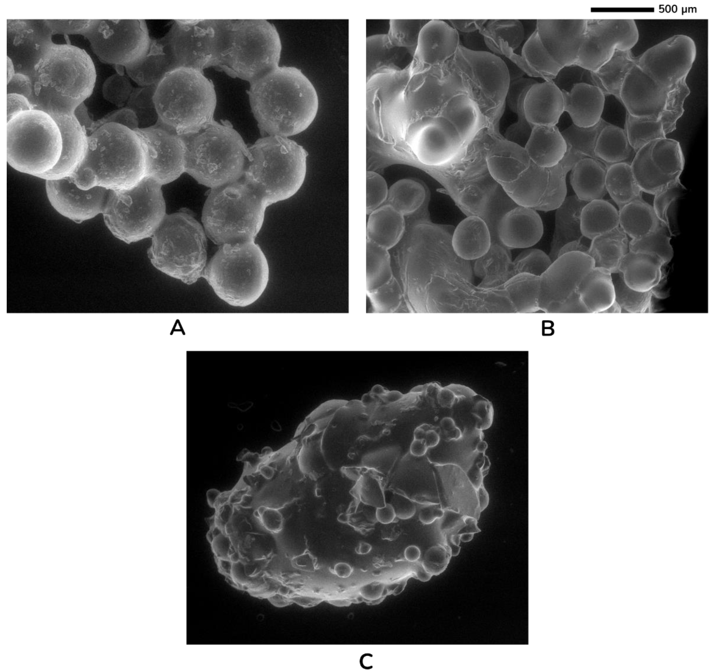 Sustainability 15 02023 g011