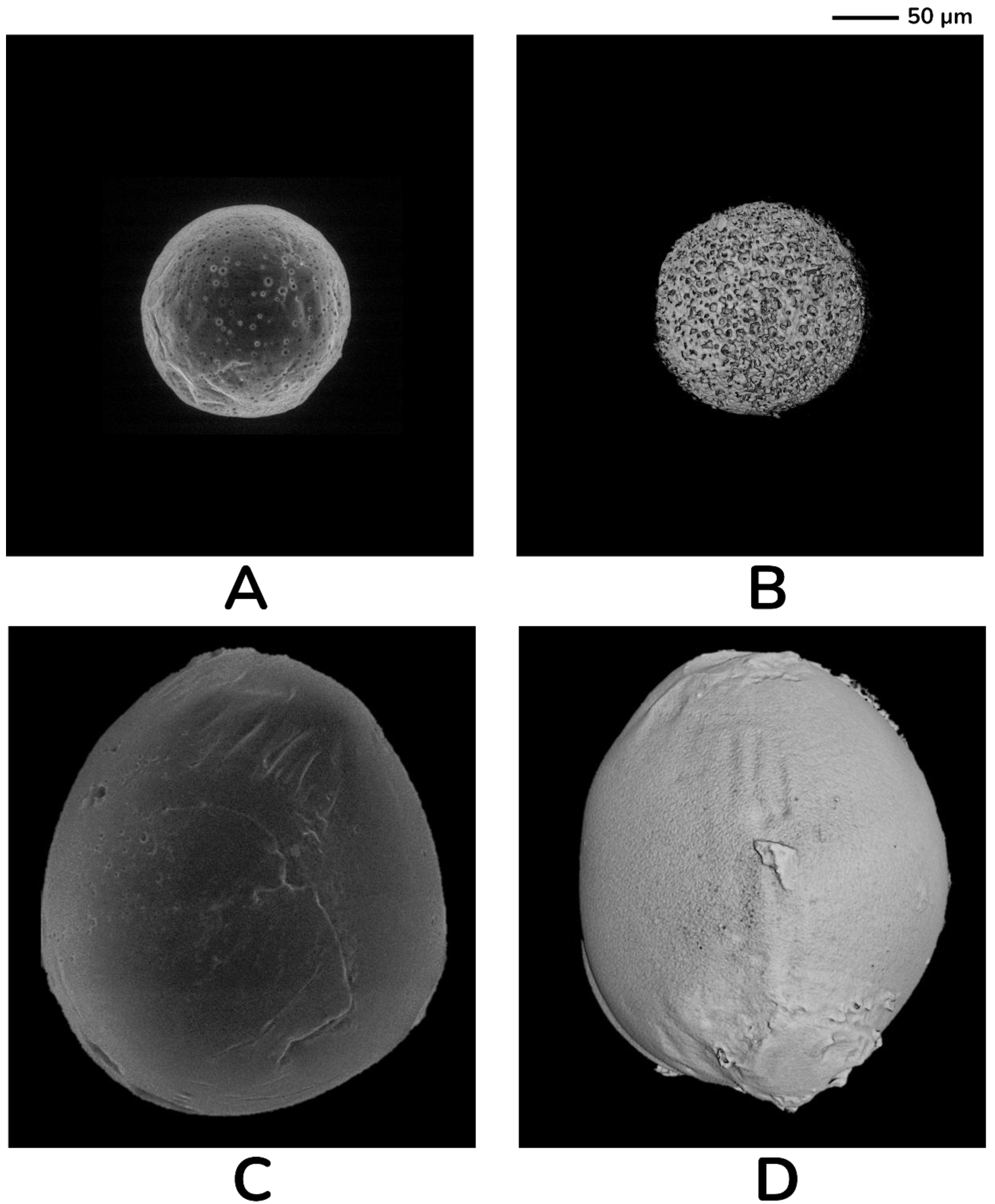 Sustainability 15 02023 g012