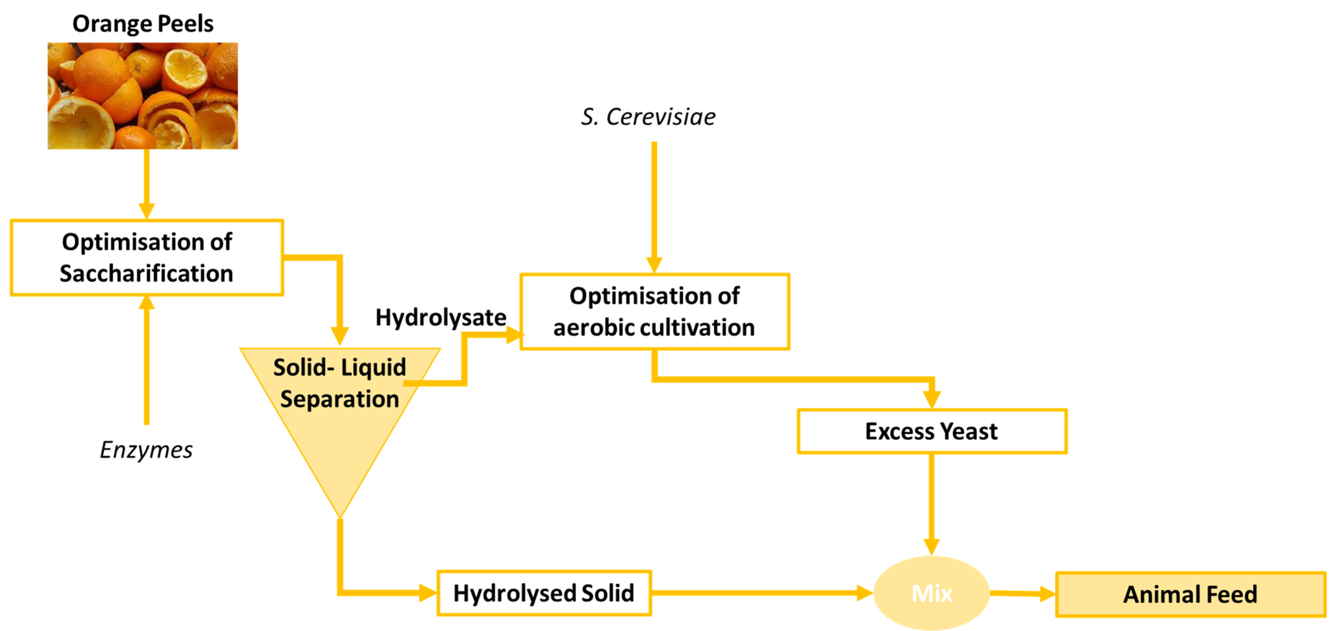 Sustainability 15 02033 g002