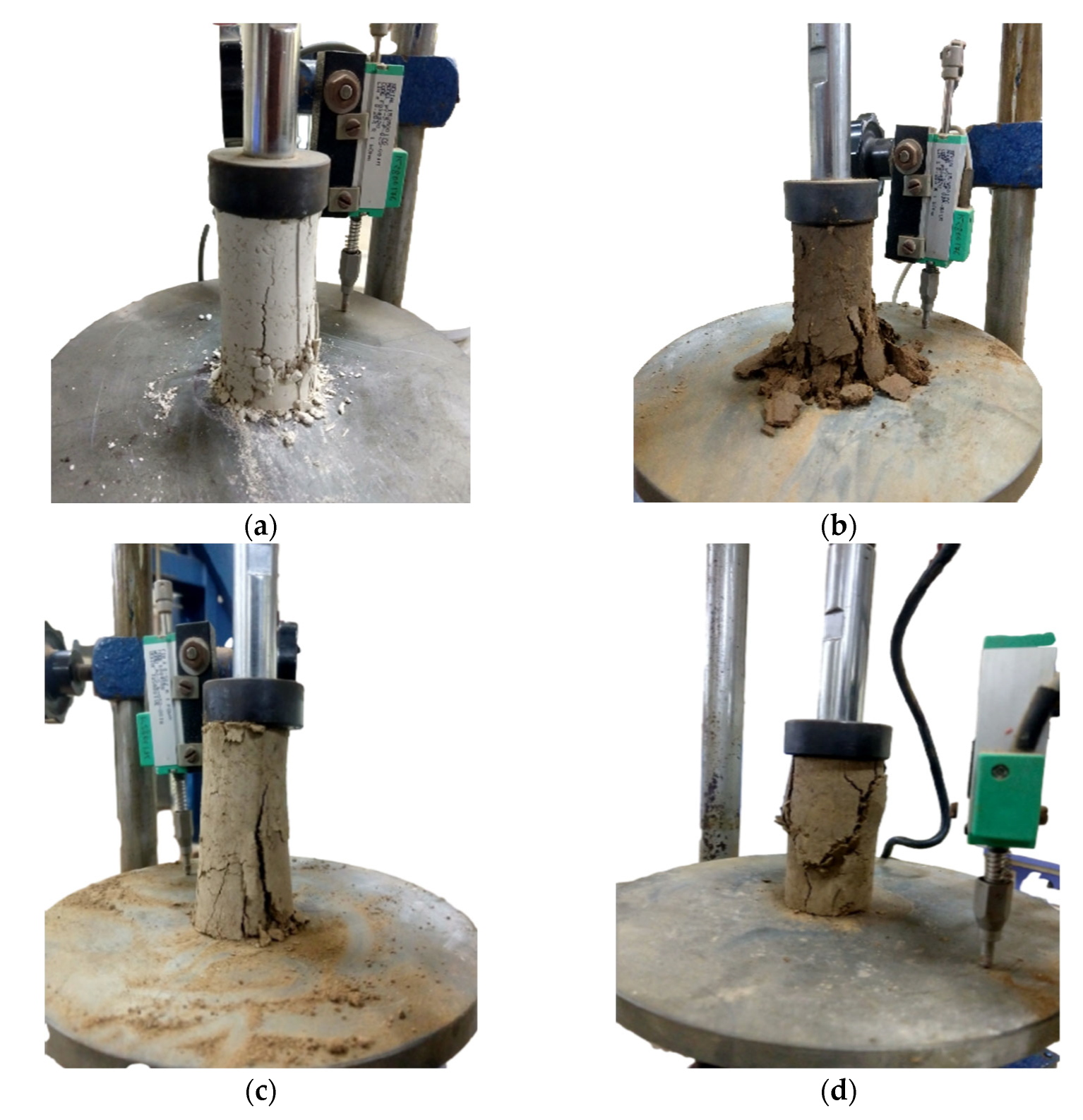 Sustainability 15 02041 g006