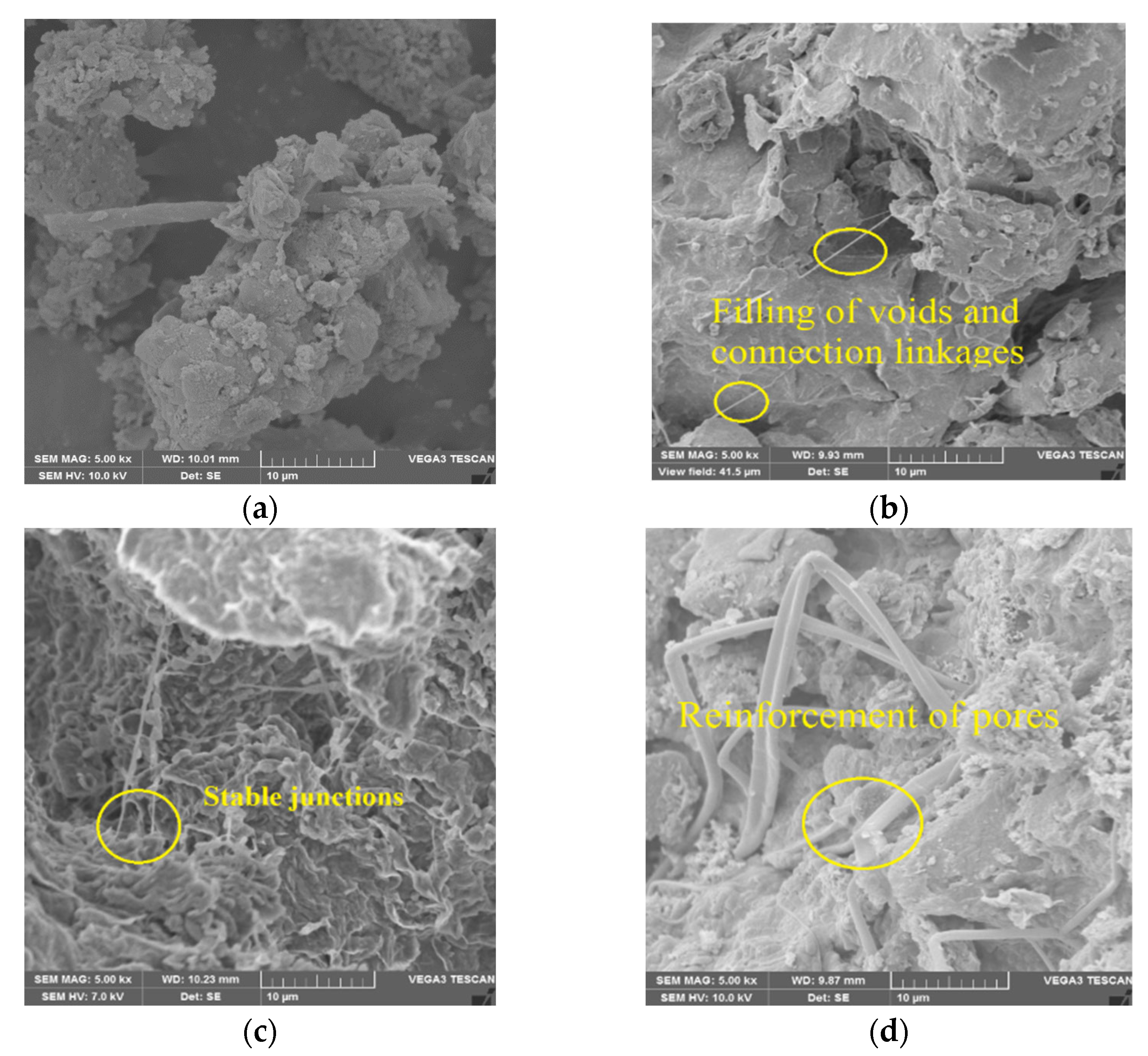 Sustainability 15 02041 g010