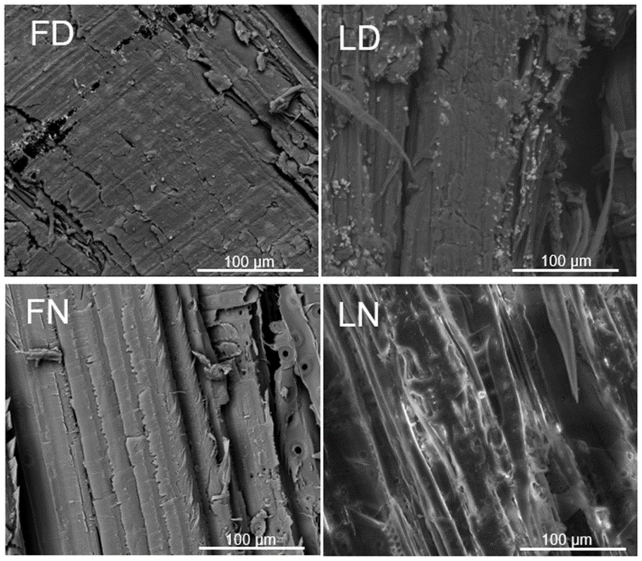 Sustainability 15 02055 g003 Sustainability 15 02055 g003