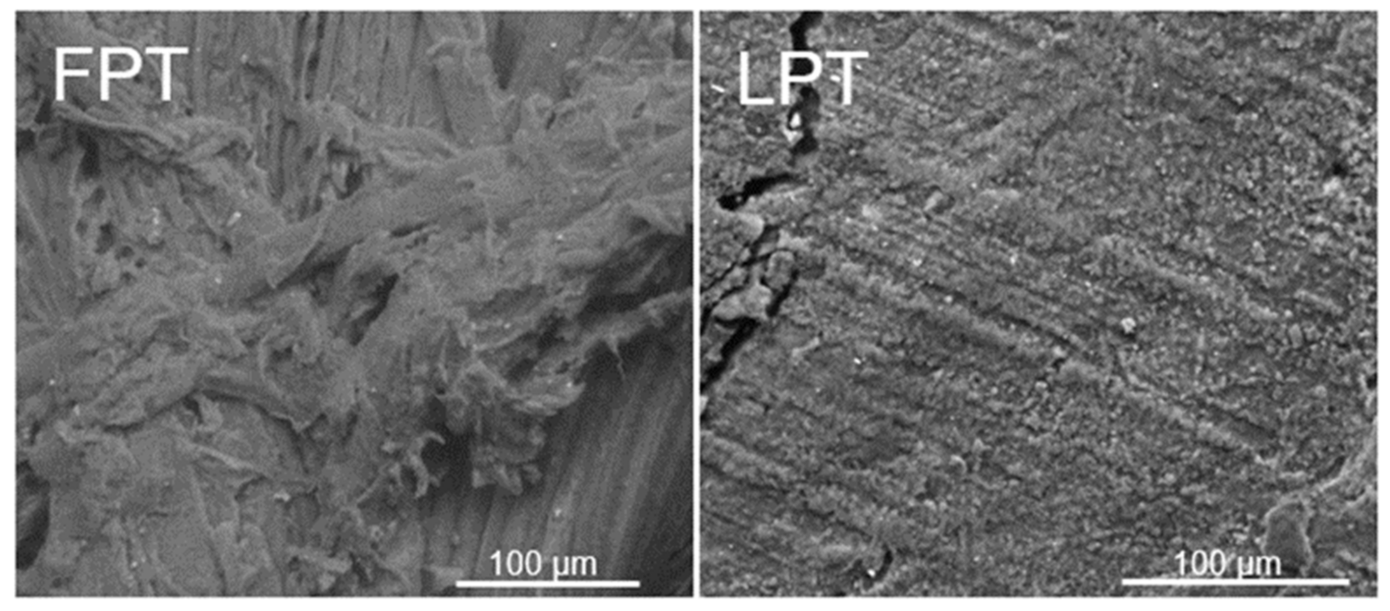 Sustainability 15 02055 g004b Sustainability 15 02055 g004b