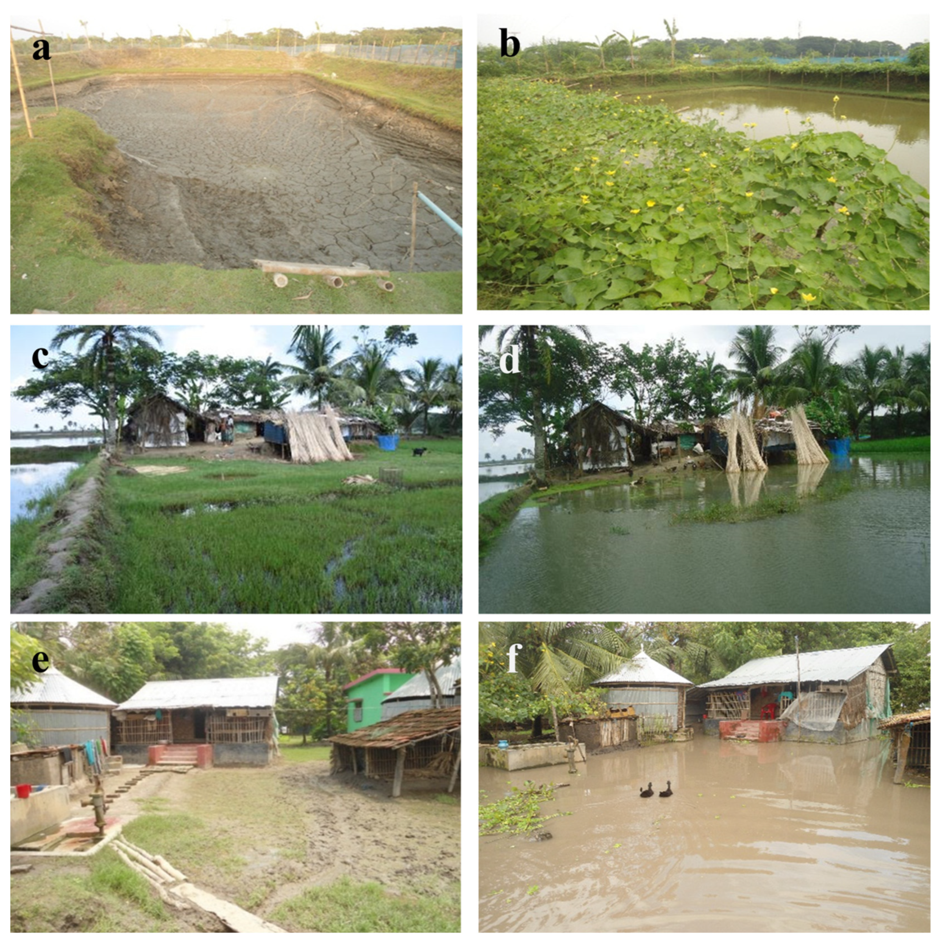 Sustainability 15 02087 g003 Sustainability 15 02087 g003