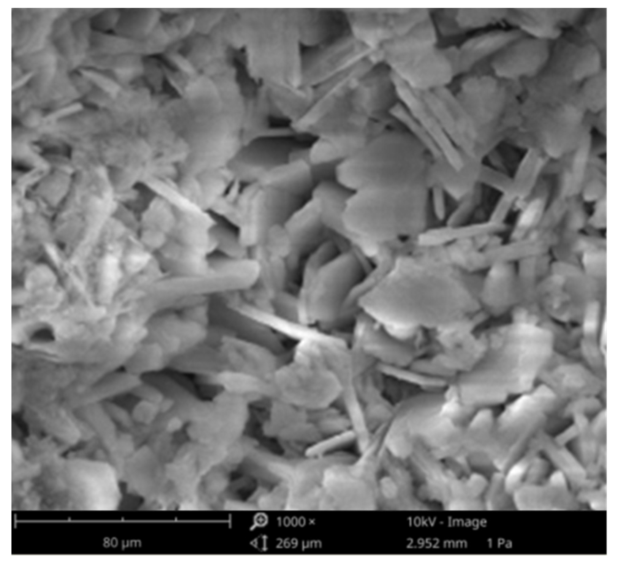 Sustainability 15 02092 g002