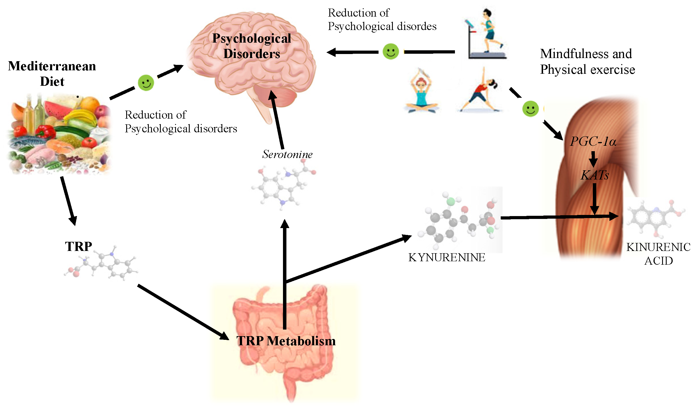 Sustainability 15 02120 g002 Sustainability 15 02120 g002