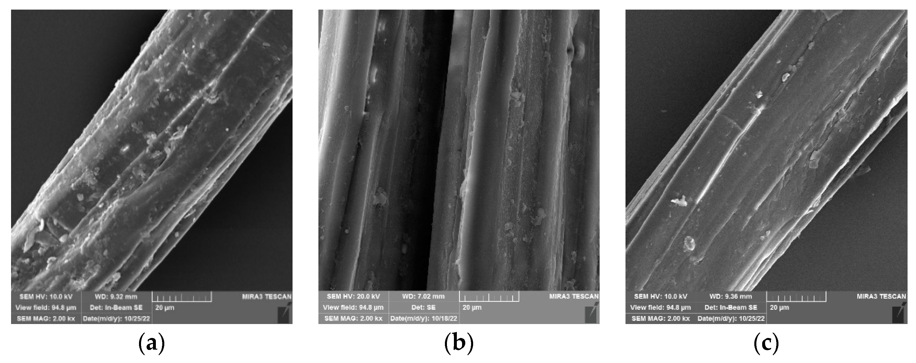 Sustainability 15 02125 g003 Sustainability 15 02125 g003