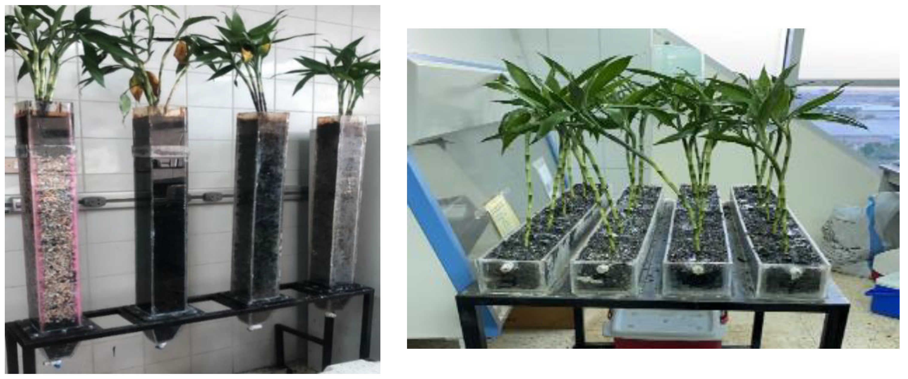 Sustainability 15 02132 g003 Sustainability 15 02132 g003