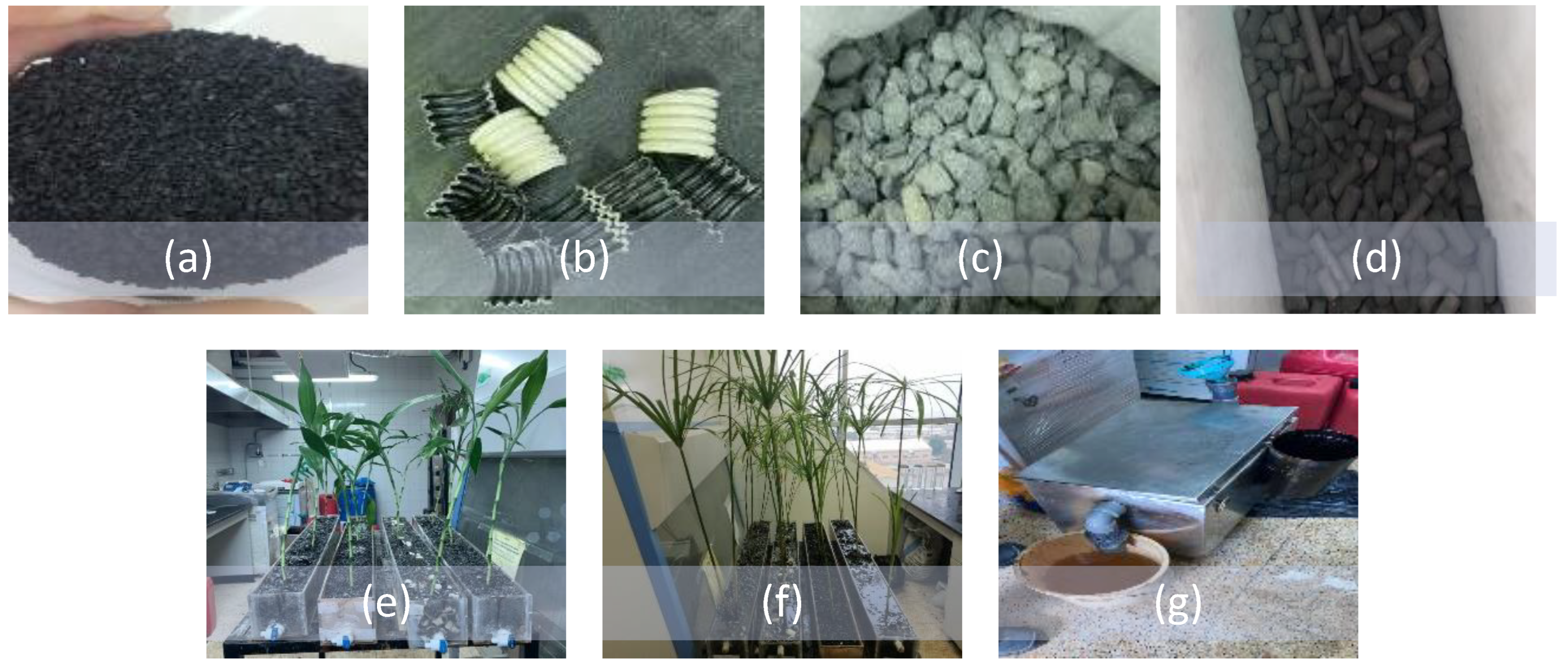 Sustainability 15 02132 g004 Sustainability 15 02132 g004