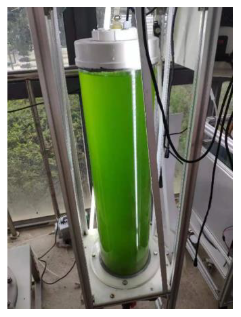 Sustainability 15 02162 g001 Sustainability 15 02162 g001