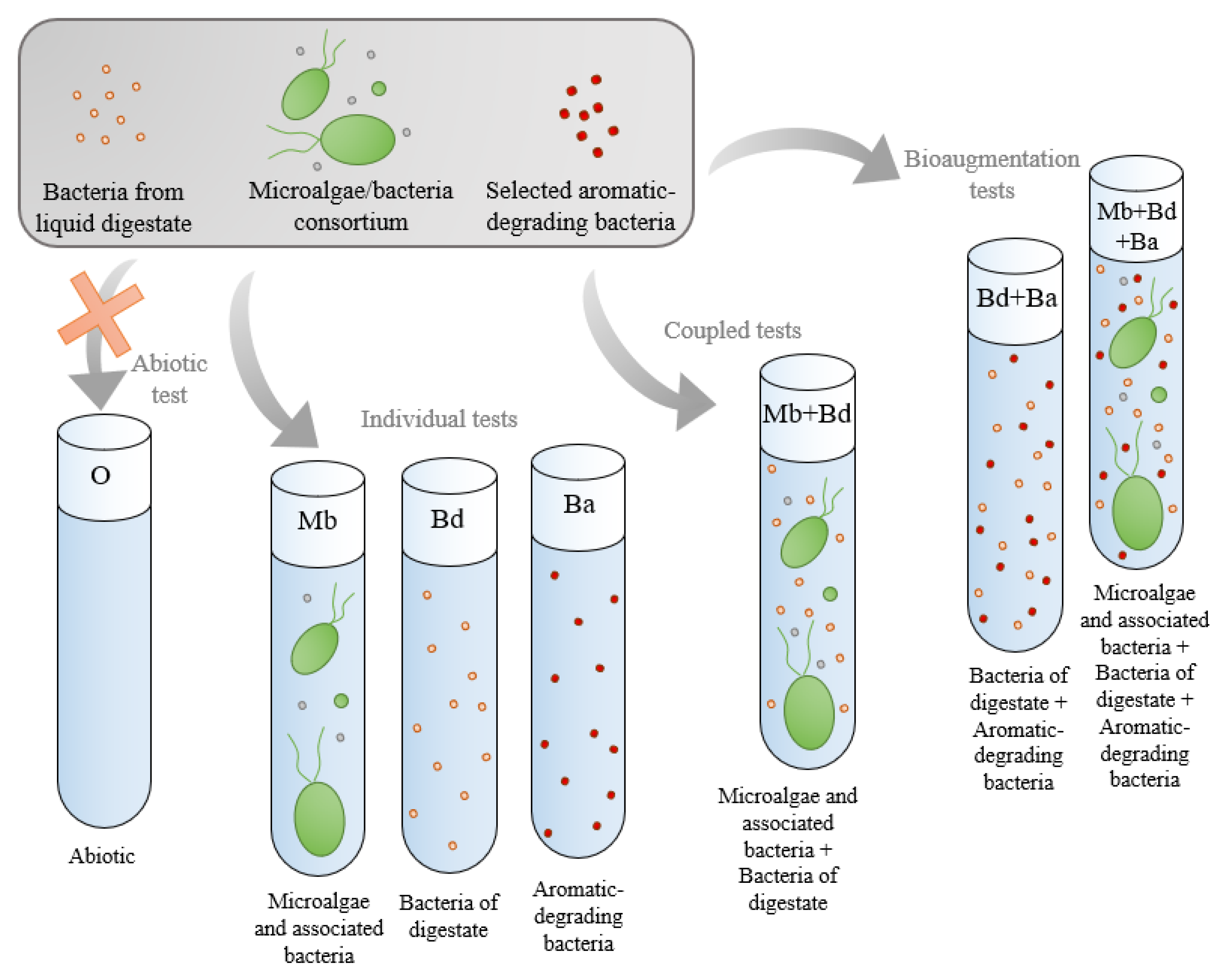 Sustainability 15 02166 g001 Sustainability 15 02166 g001