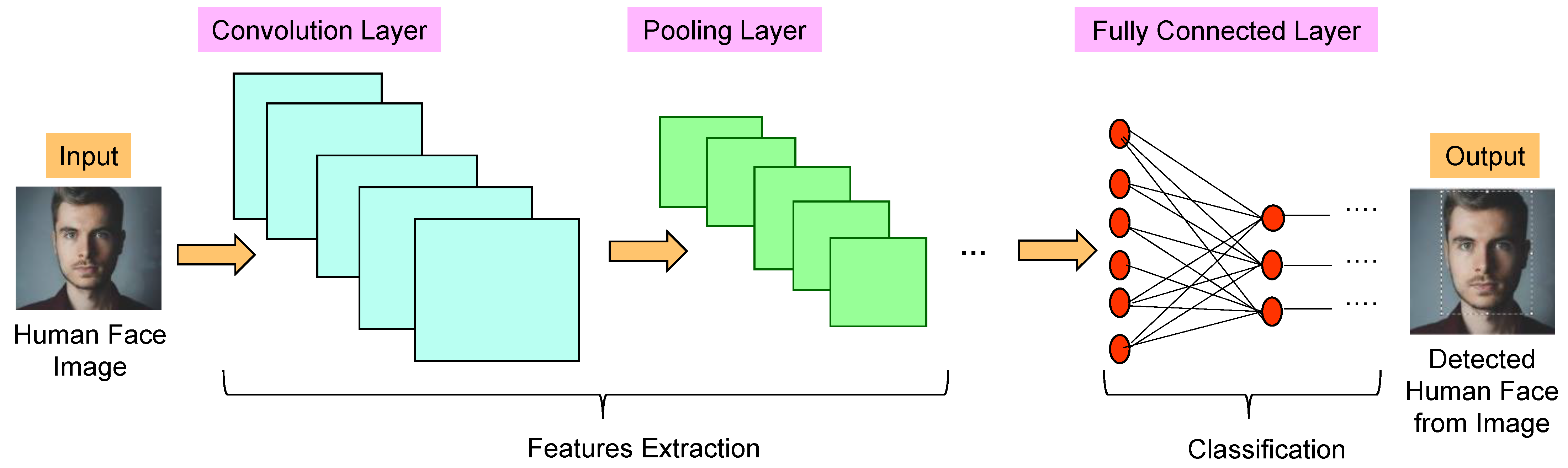 Sustainability 15 02206 g003