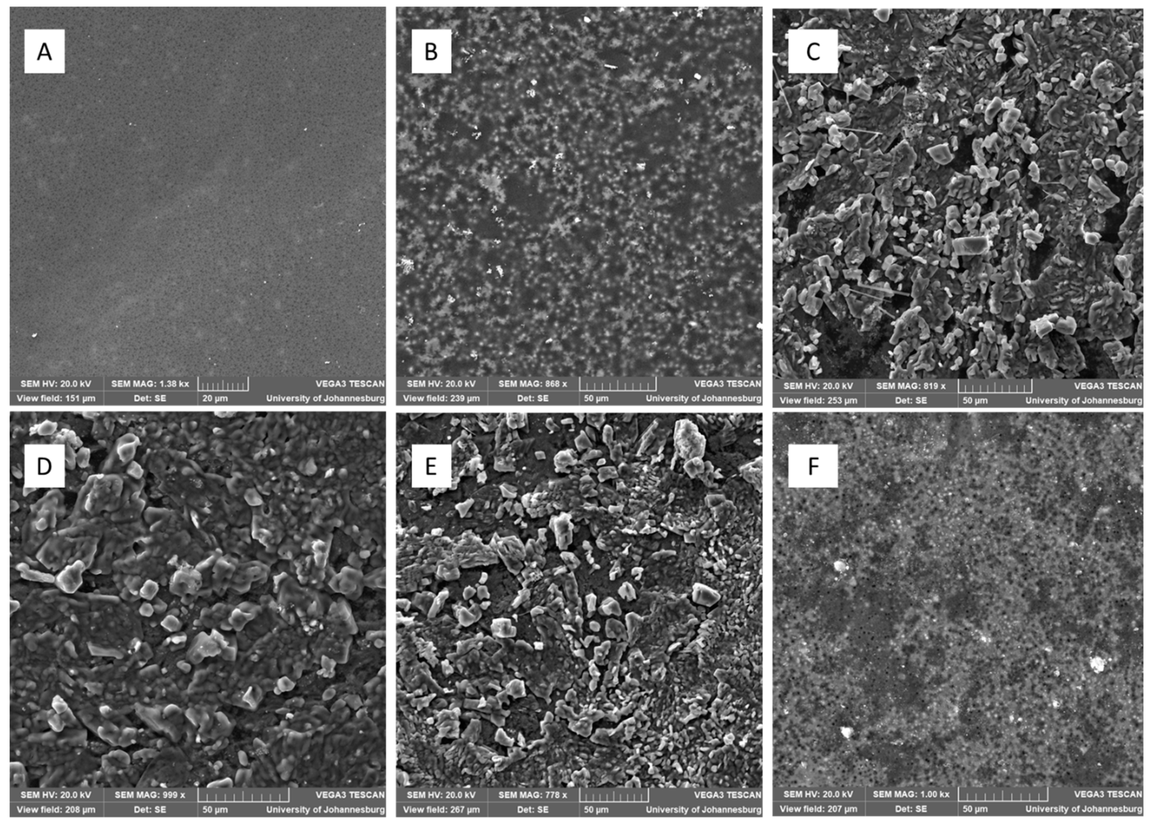 Sustainability 15 02209 g006 Sustainability 15 02209 g006