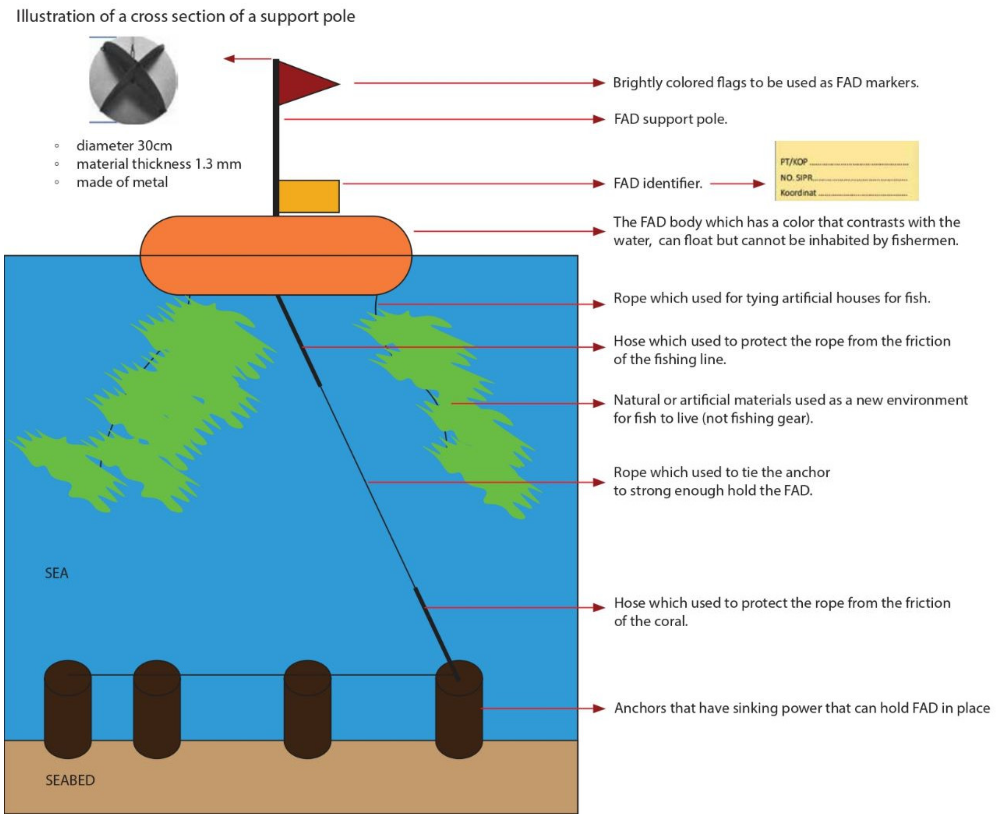 Sustainability 15 02242 g002