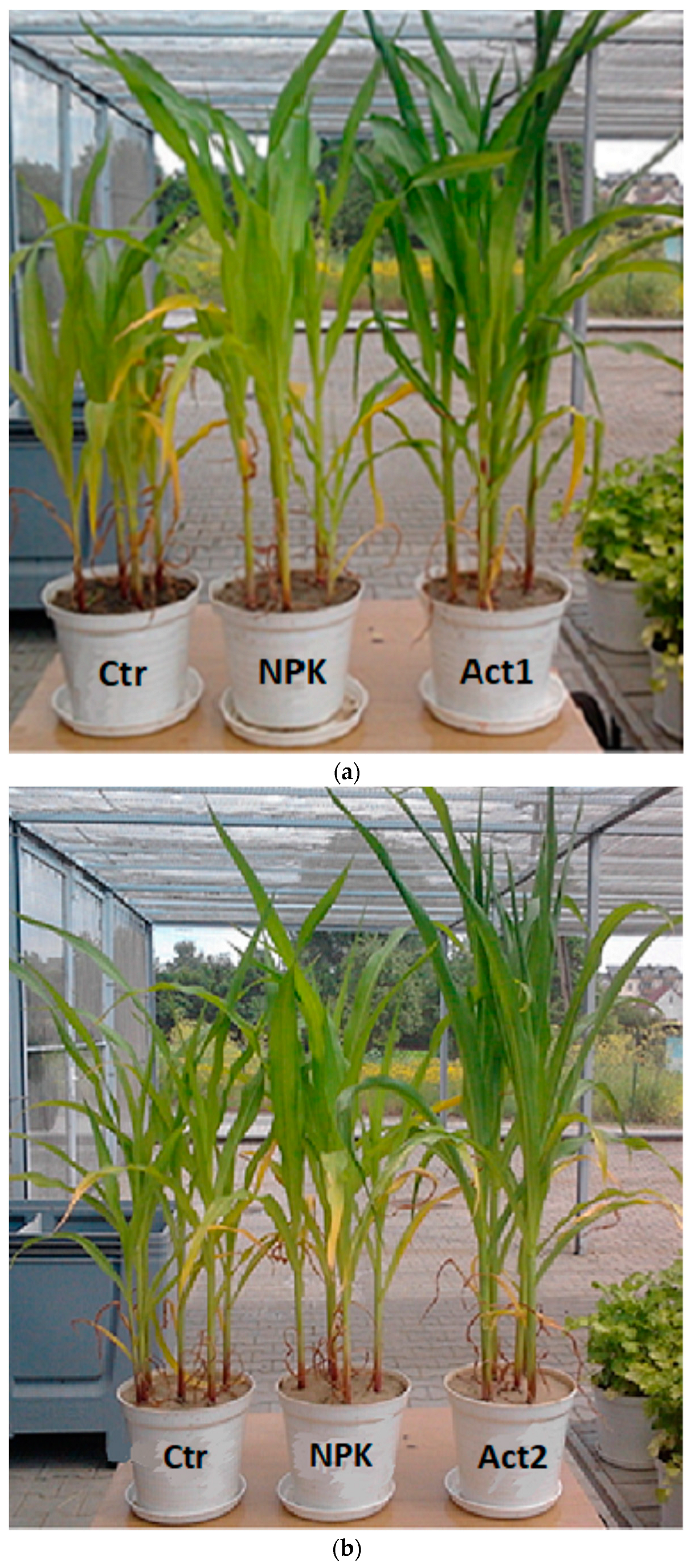 Sustainability 15 02304 g006