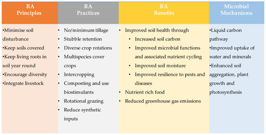 Is Bai Water Good For You (Nutrition Pros and Cons)? - Clean