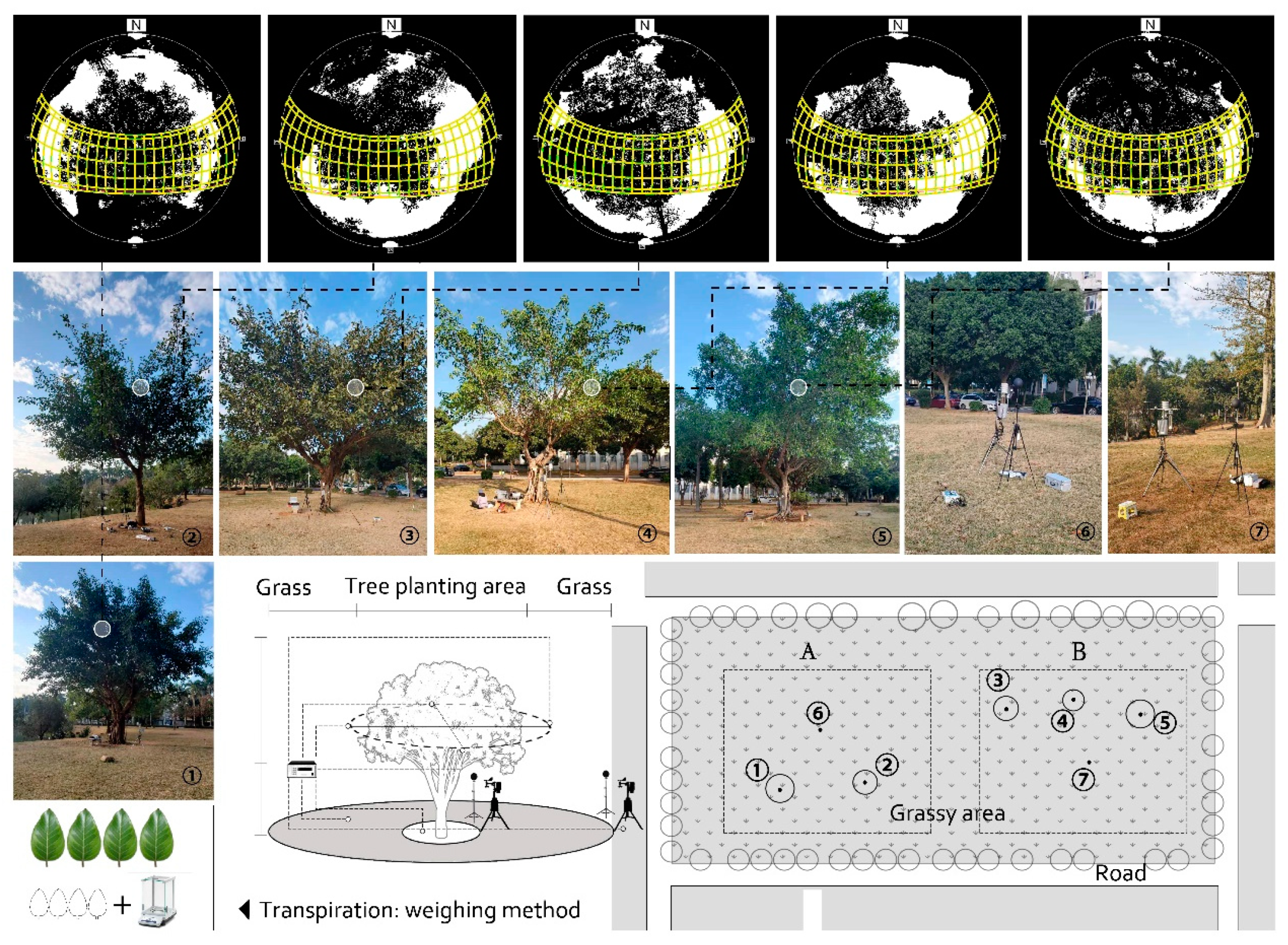 Sustainability 15 02427 g001