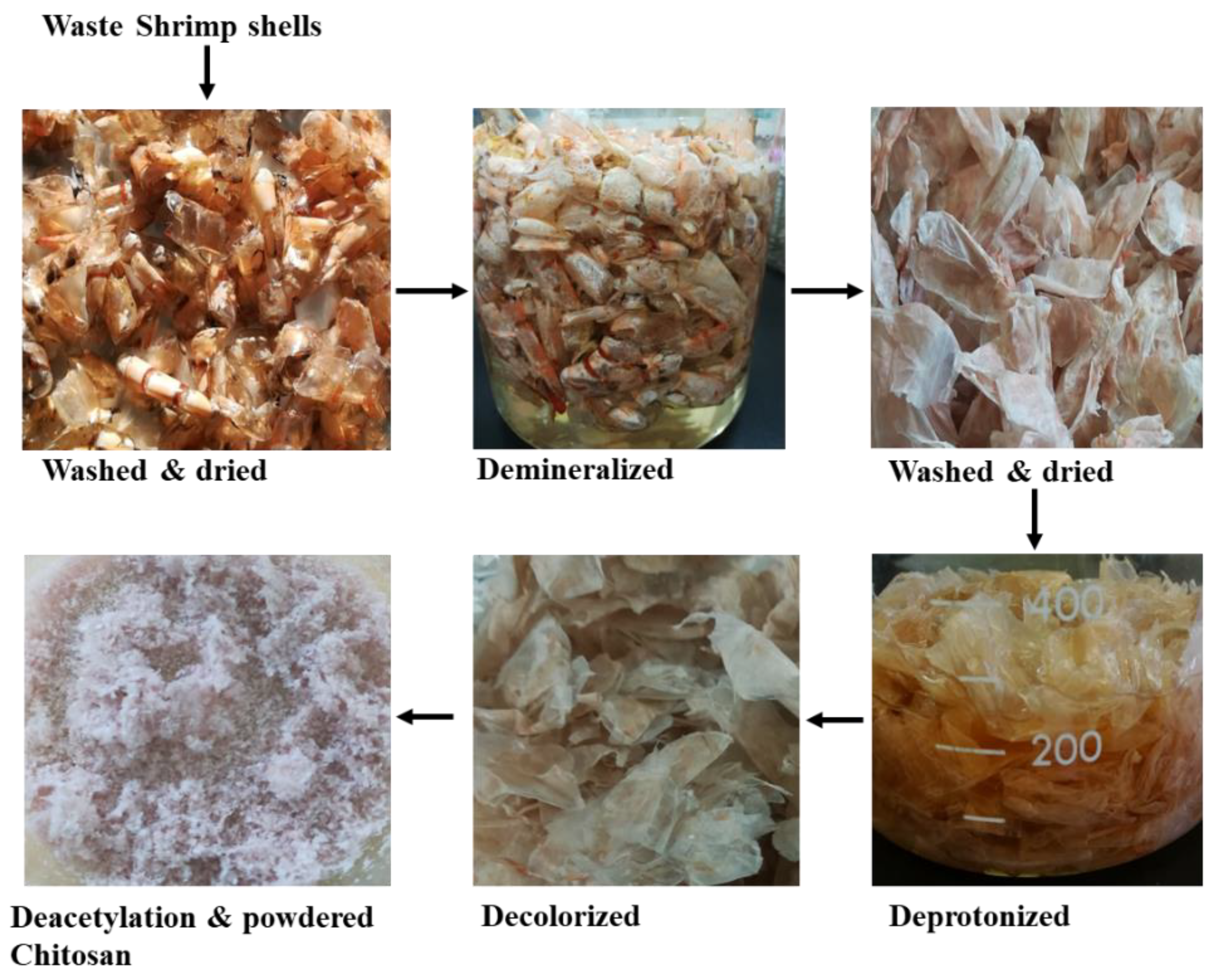 Sustainability 15 02431 g001