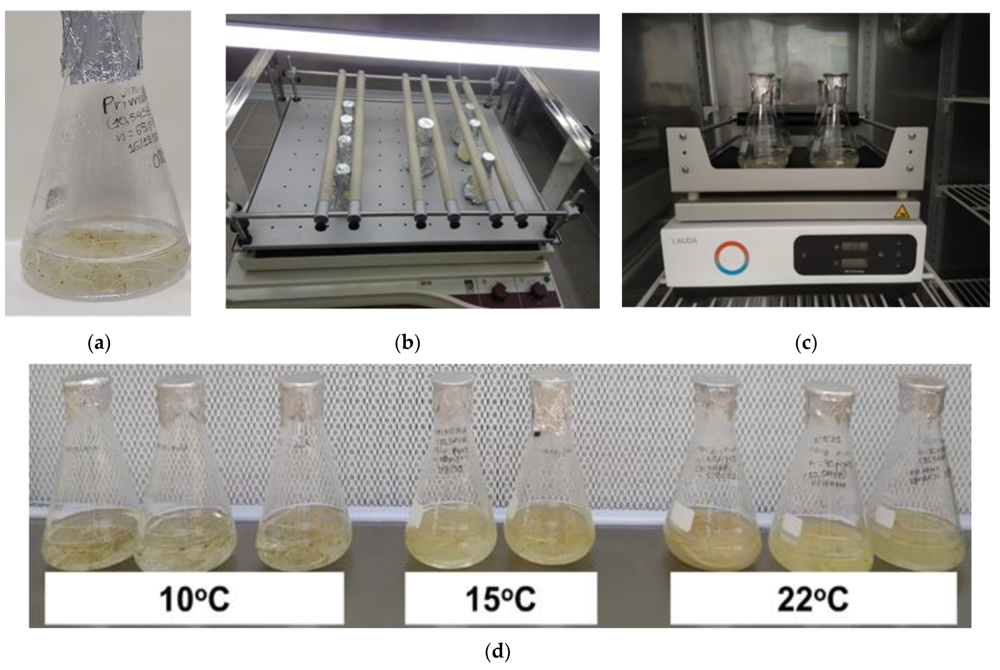 Sustainability 15 02452 g002a Sustainability 15 02452 g002a