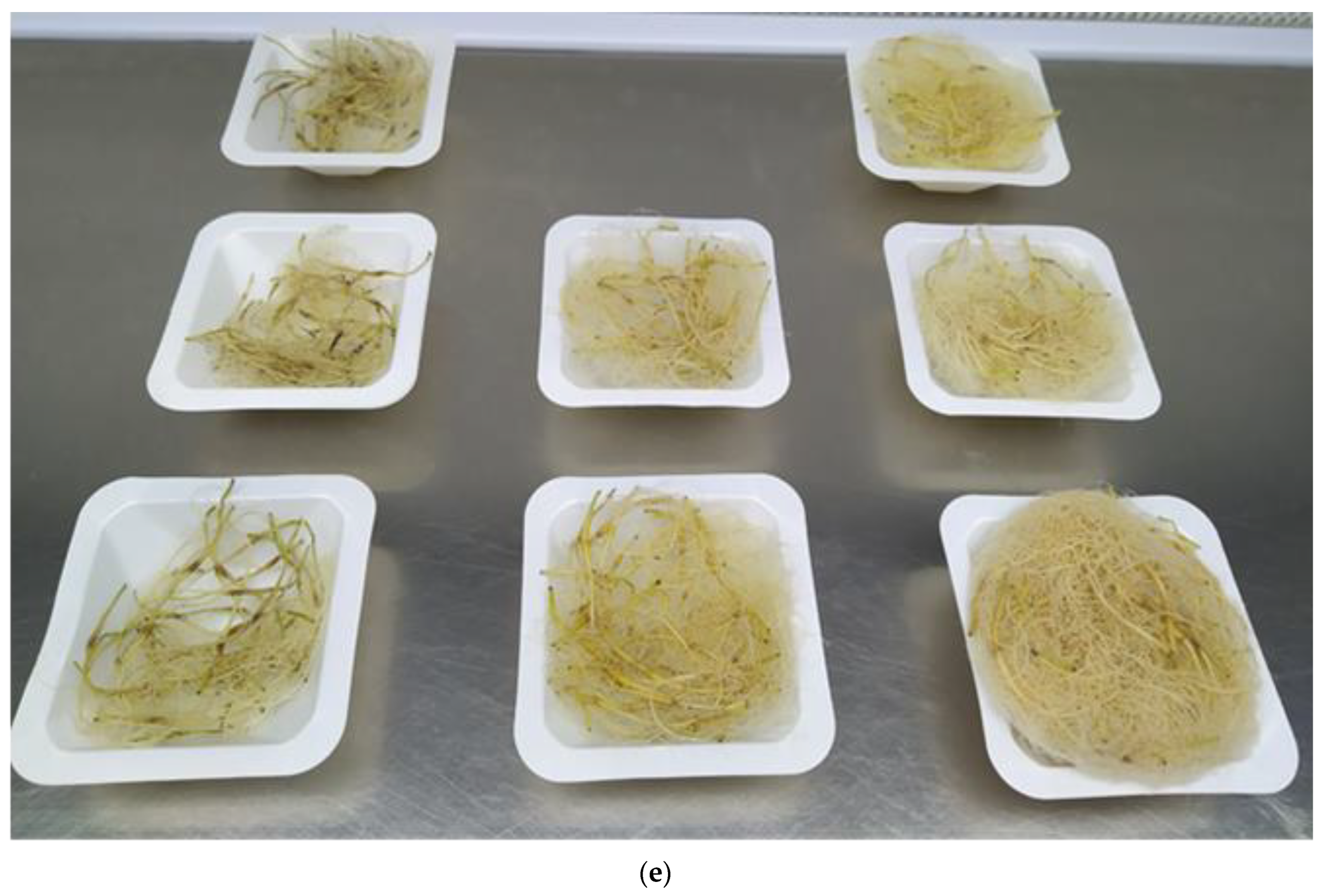 Sustainability 15 02452 g002b Sustainability 15 02452 g002b