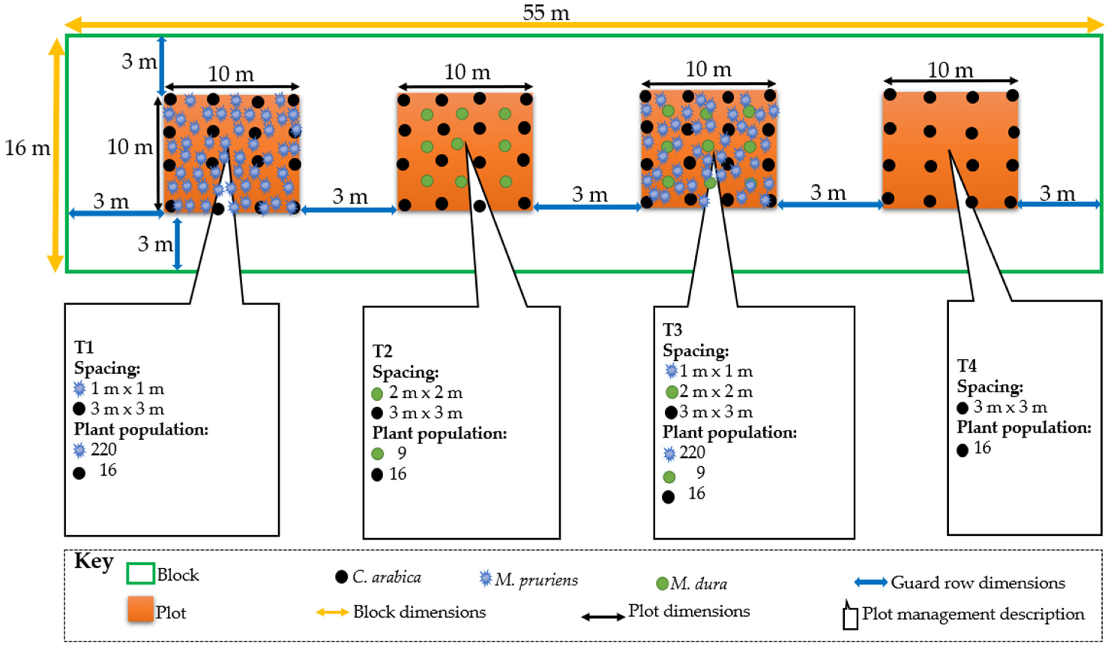 Sustainability 15 02453 g003 Sustainability 15 02453 g003