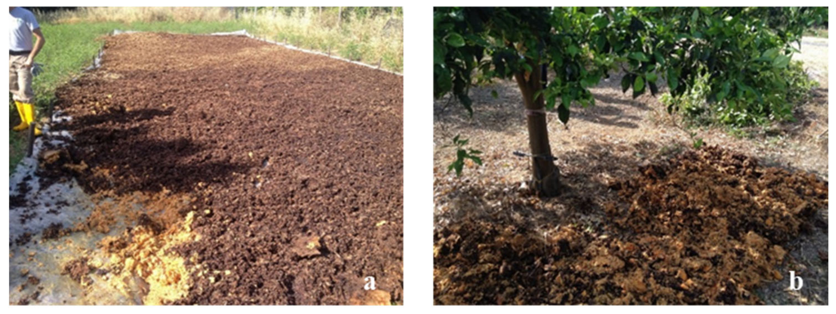 Sustainability 15 02482 g001