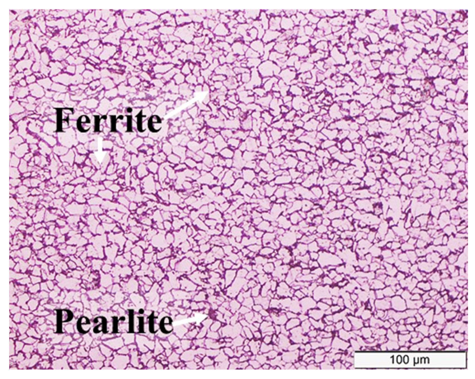 Sustainability 15 02511 g001 Sustainability 15 02511 g001