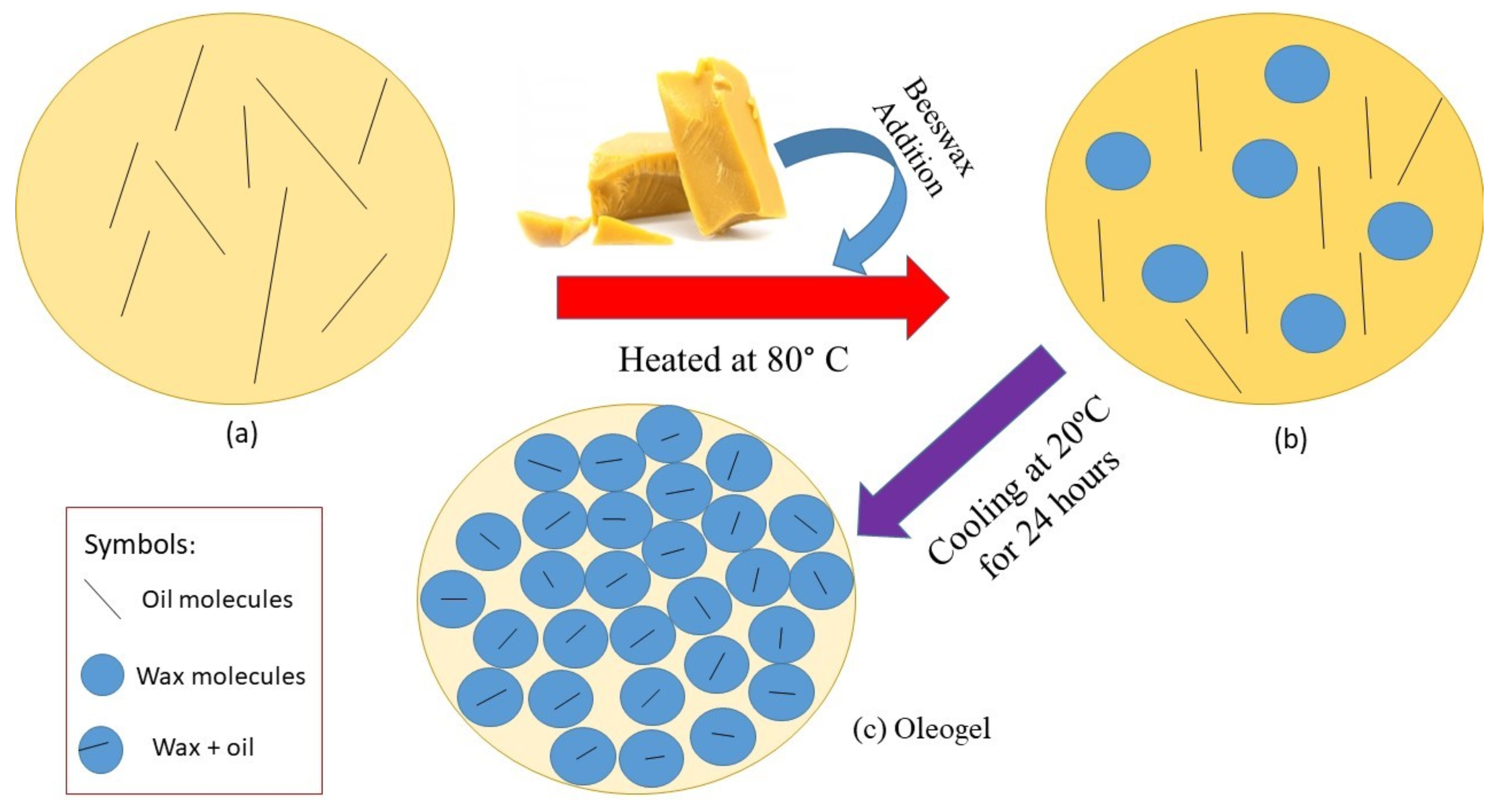 Sustainability 15 02534 g001