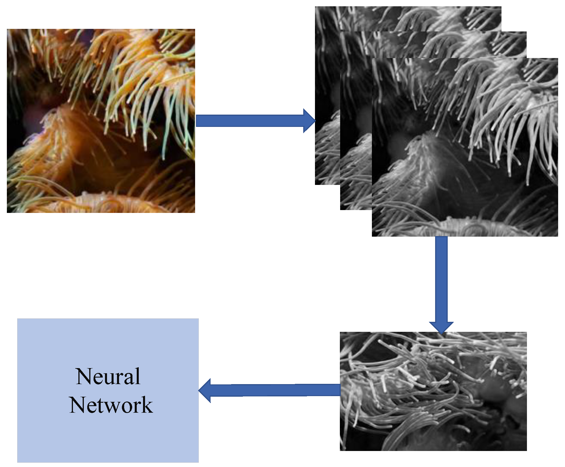 Sustainability 15 02542 g002 550