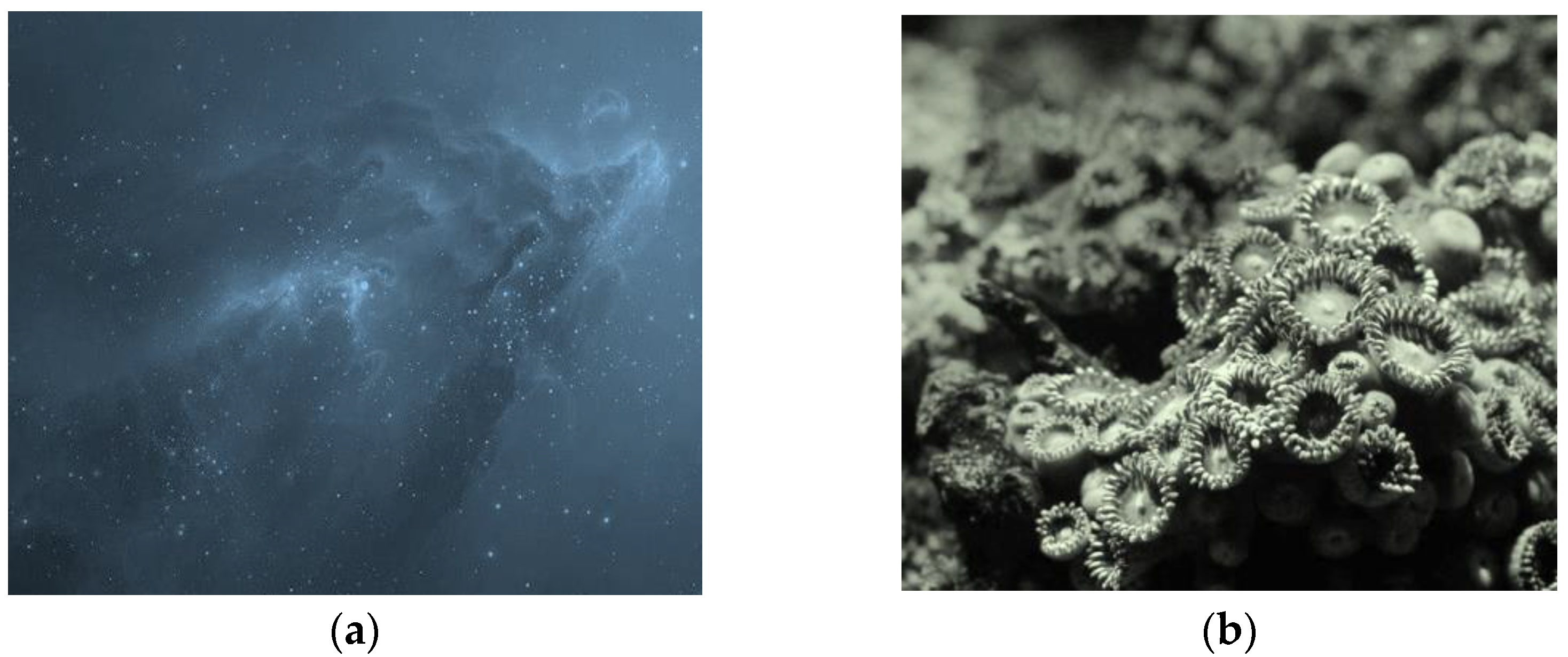 Sustainability 15 02542 g007 550