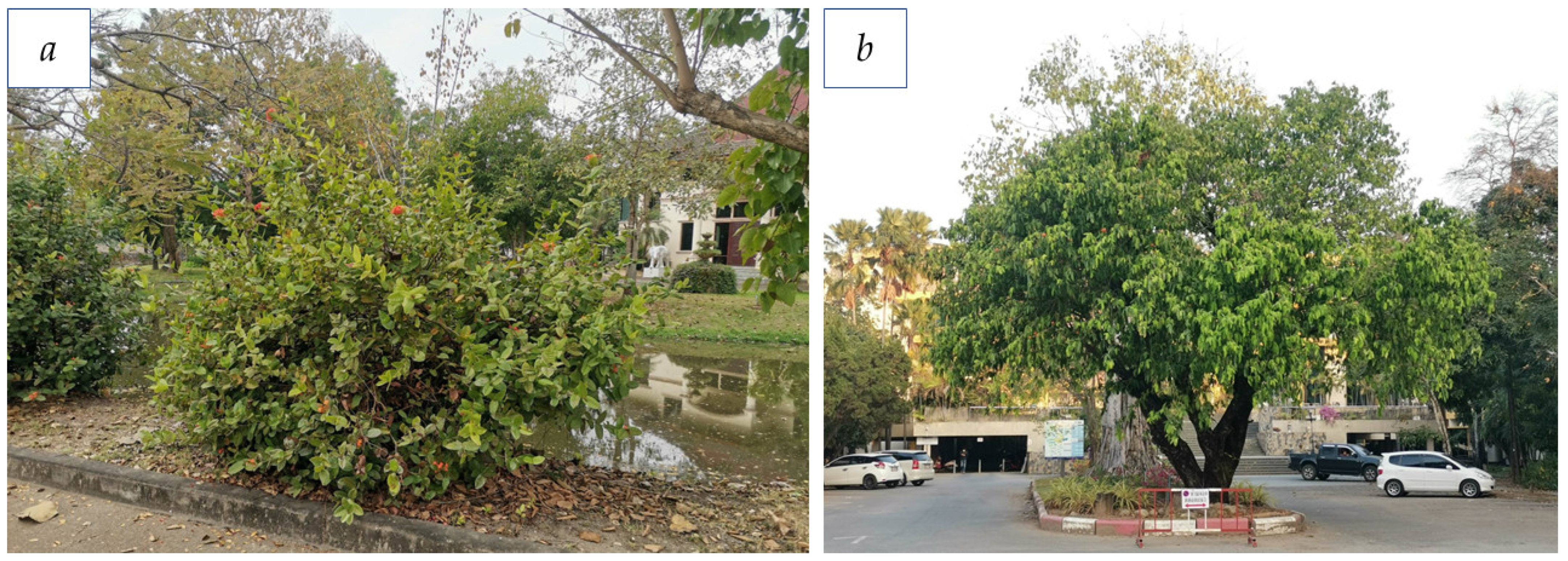 Sustainability 15 02566 g005