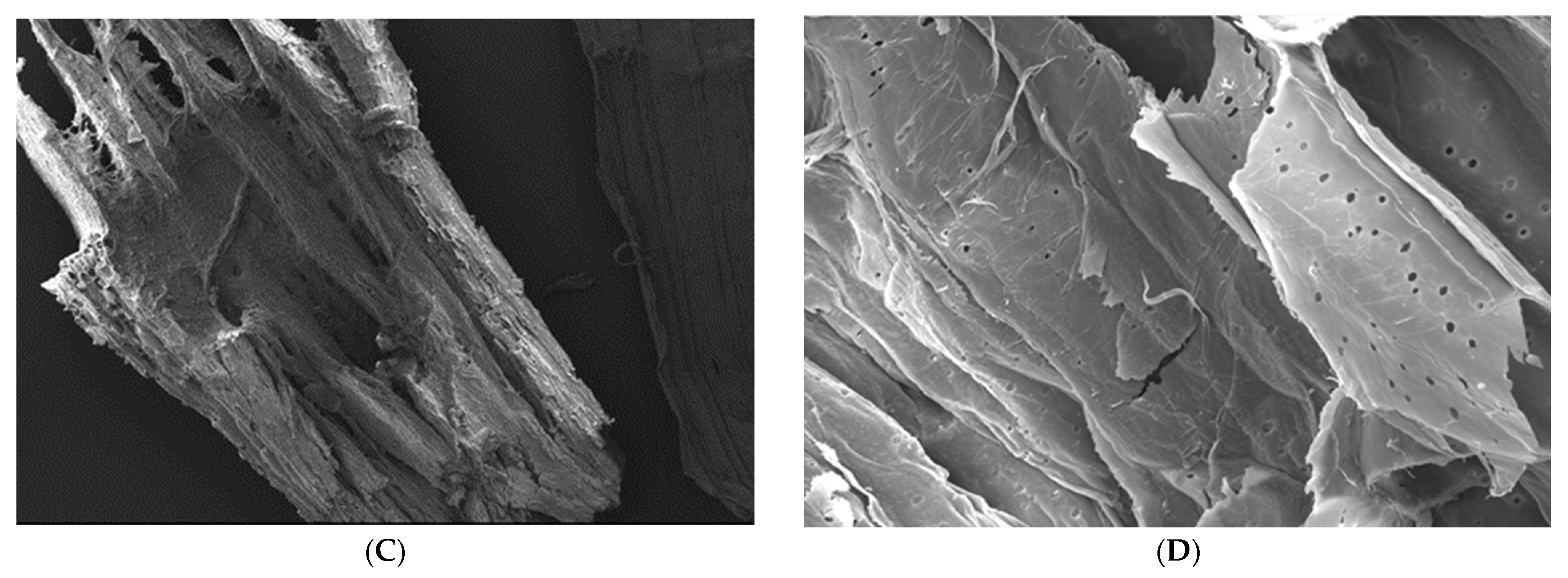 Sustainability 15 02582 g005b Sustainability 15 02582 g005b