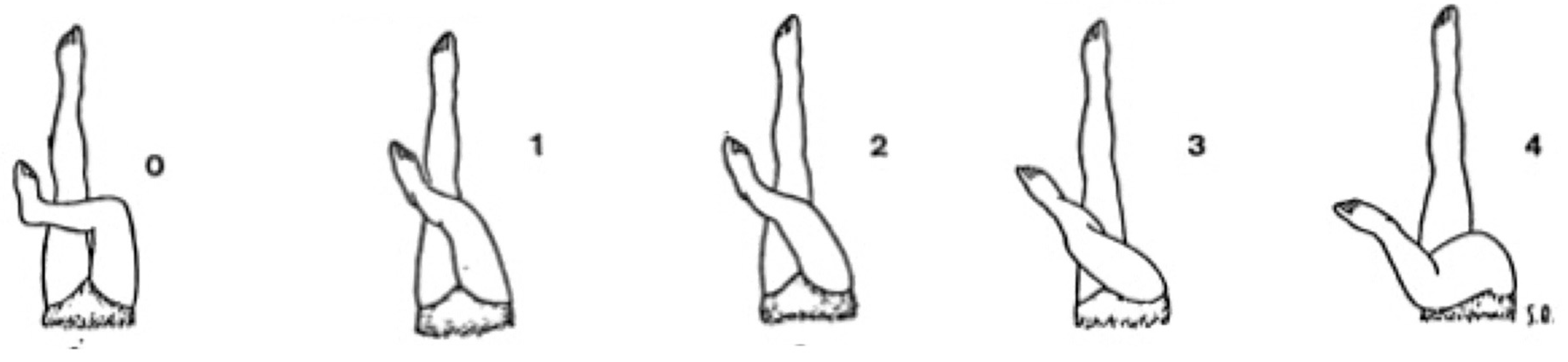 Sustainability 15 02604 g002