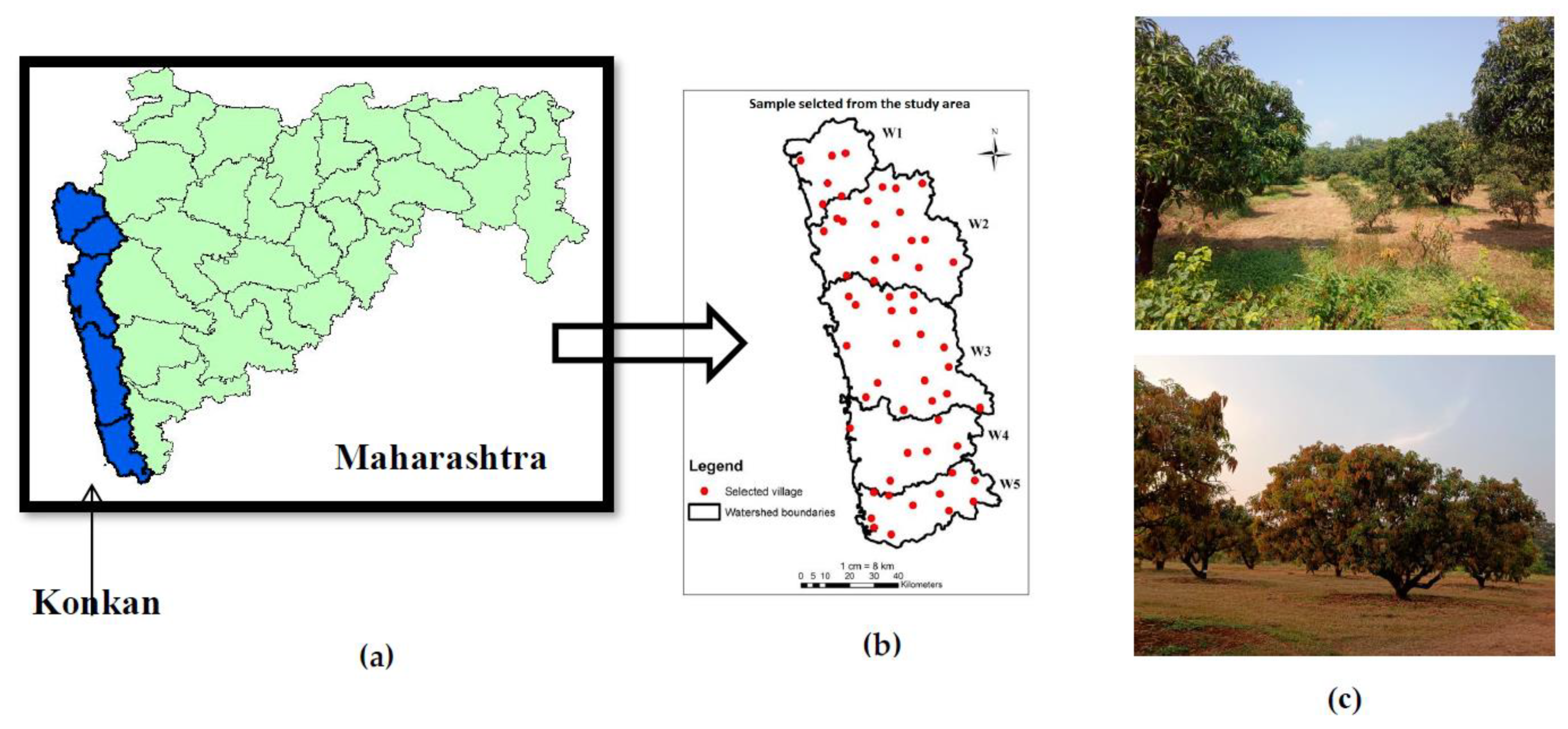 Sustainability 15 02619 g001
