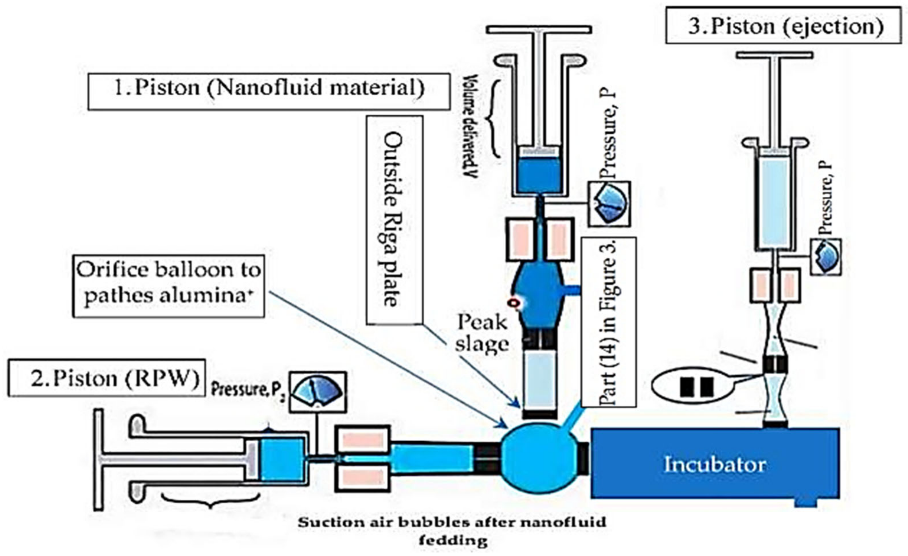Sustainability 15 02641 g006 550