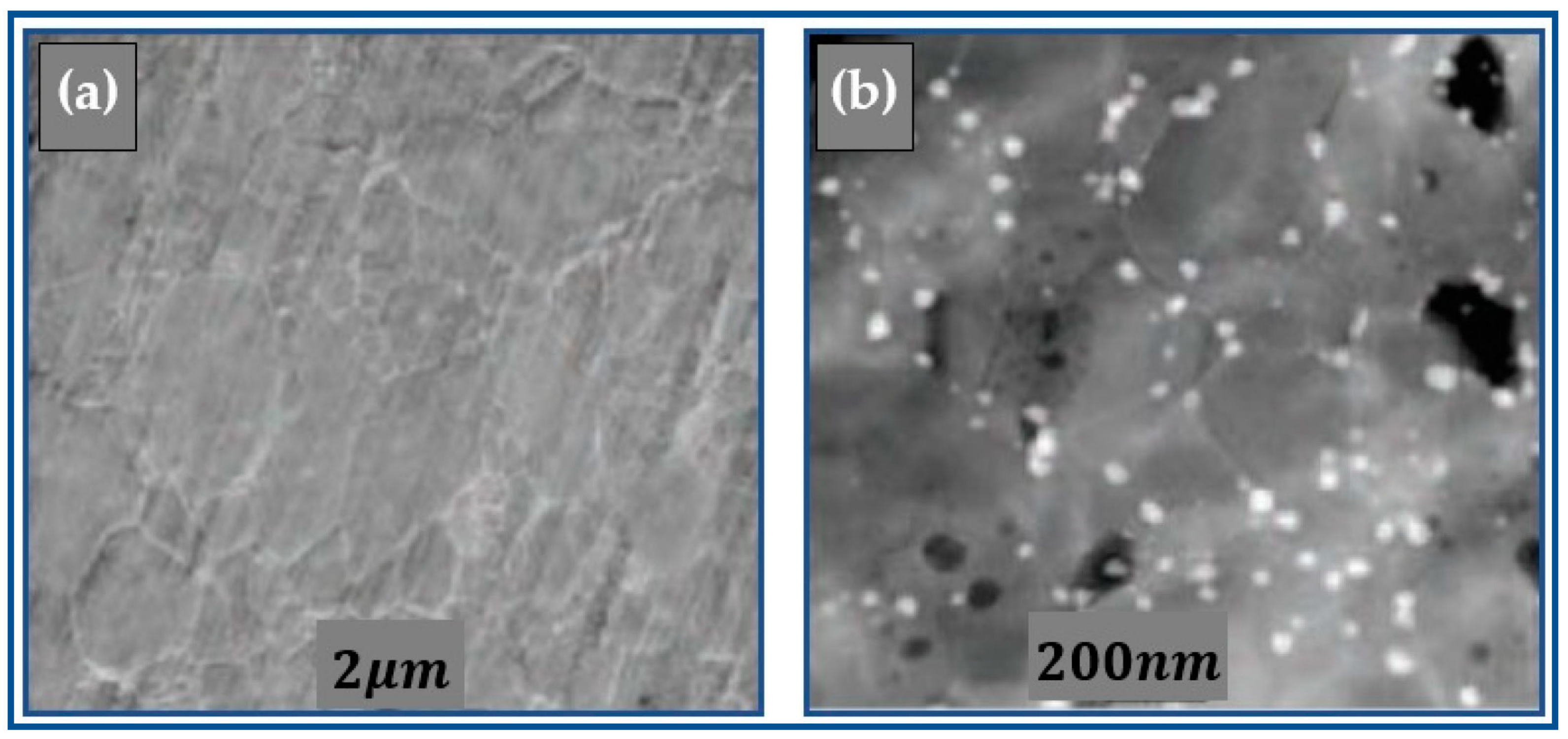 Sustainability 15 02641 g009 550