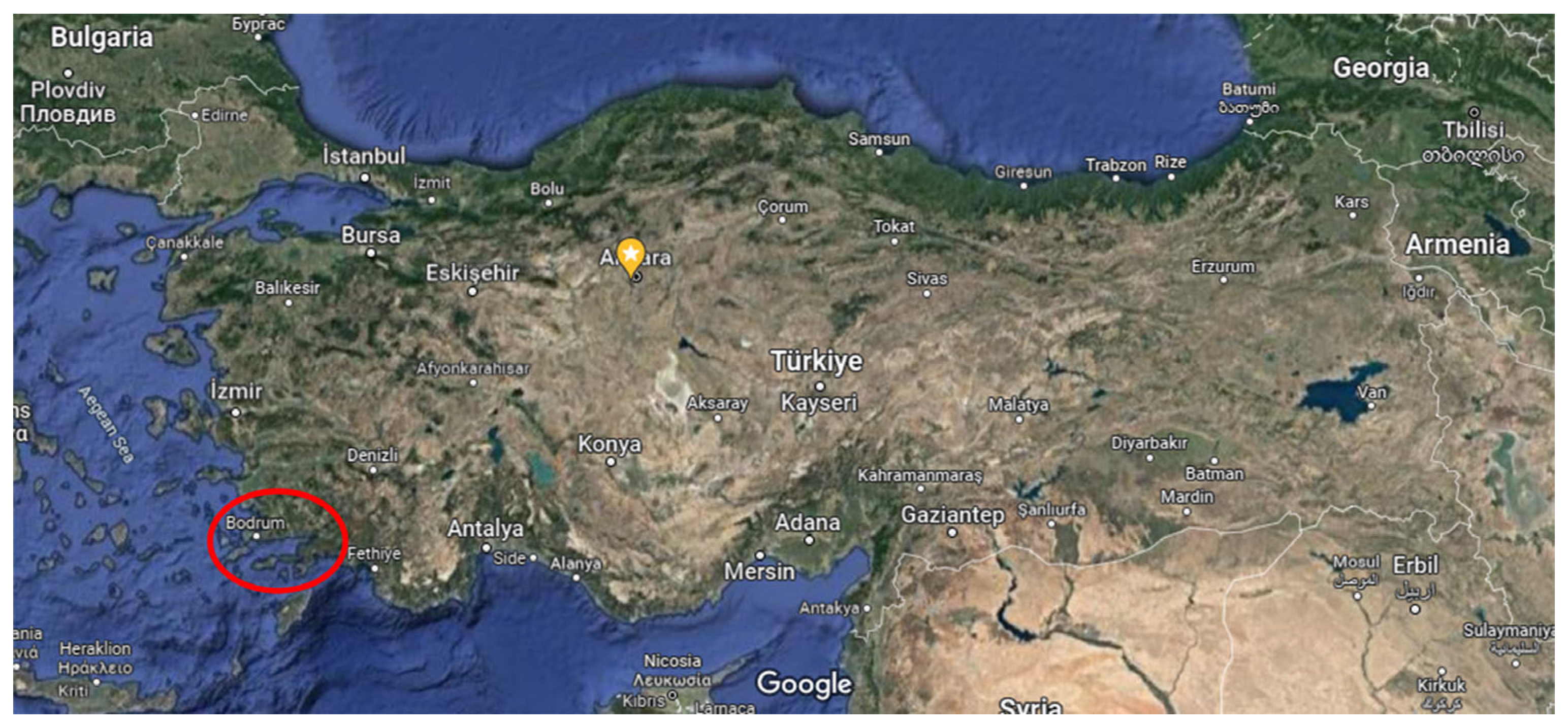 Sustainability 15 02643 g002