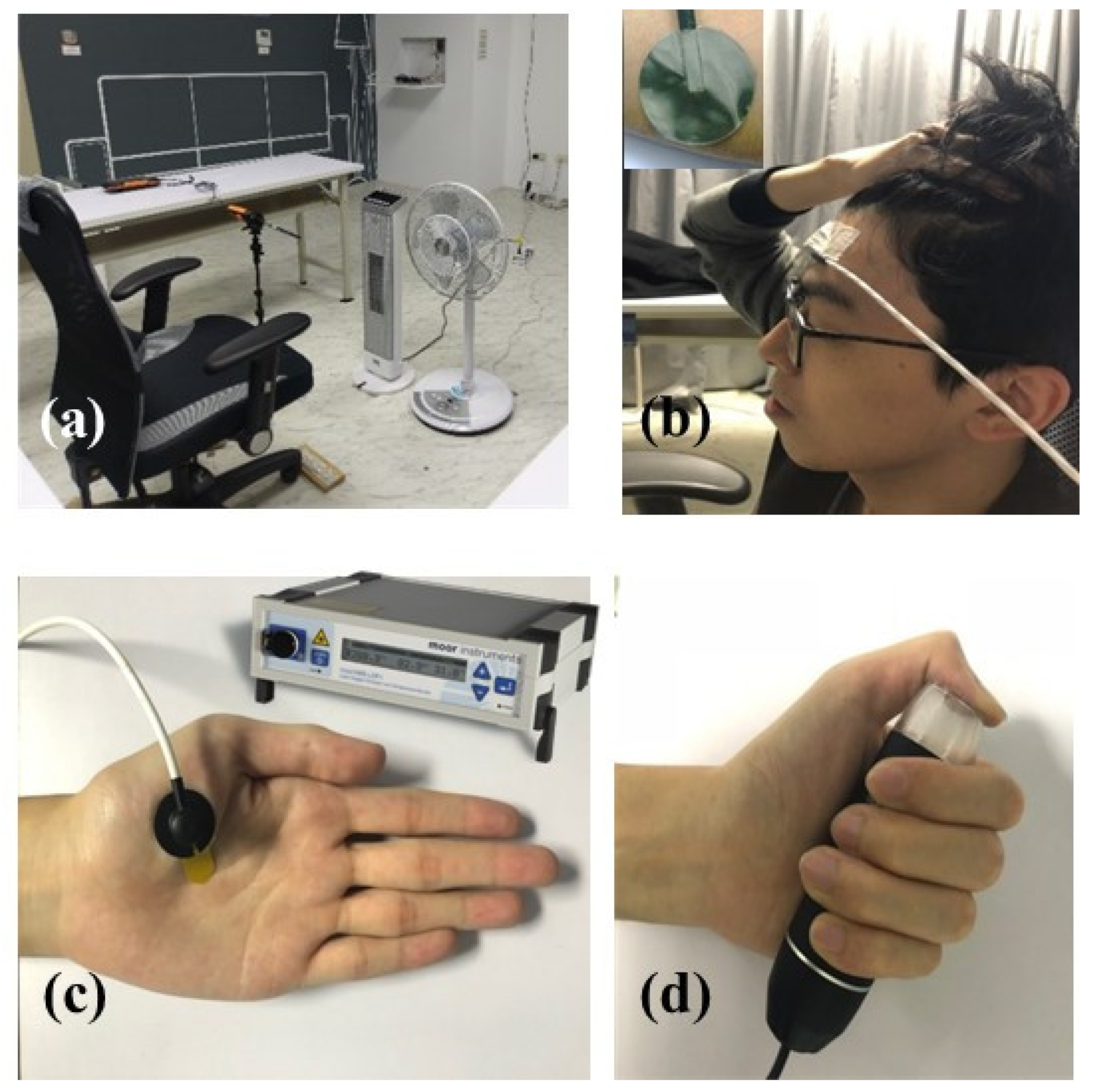 Sustainability 15 02667 g002