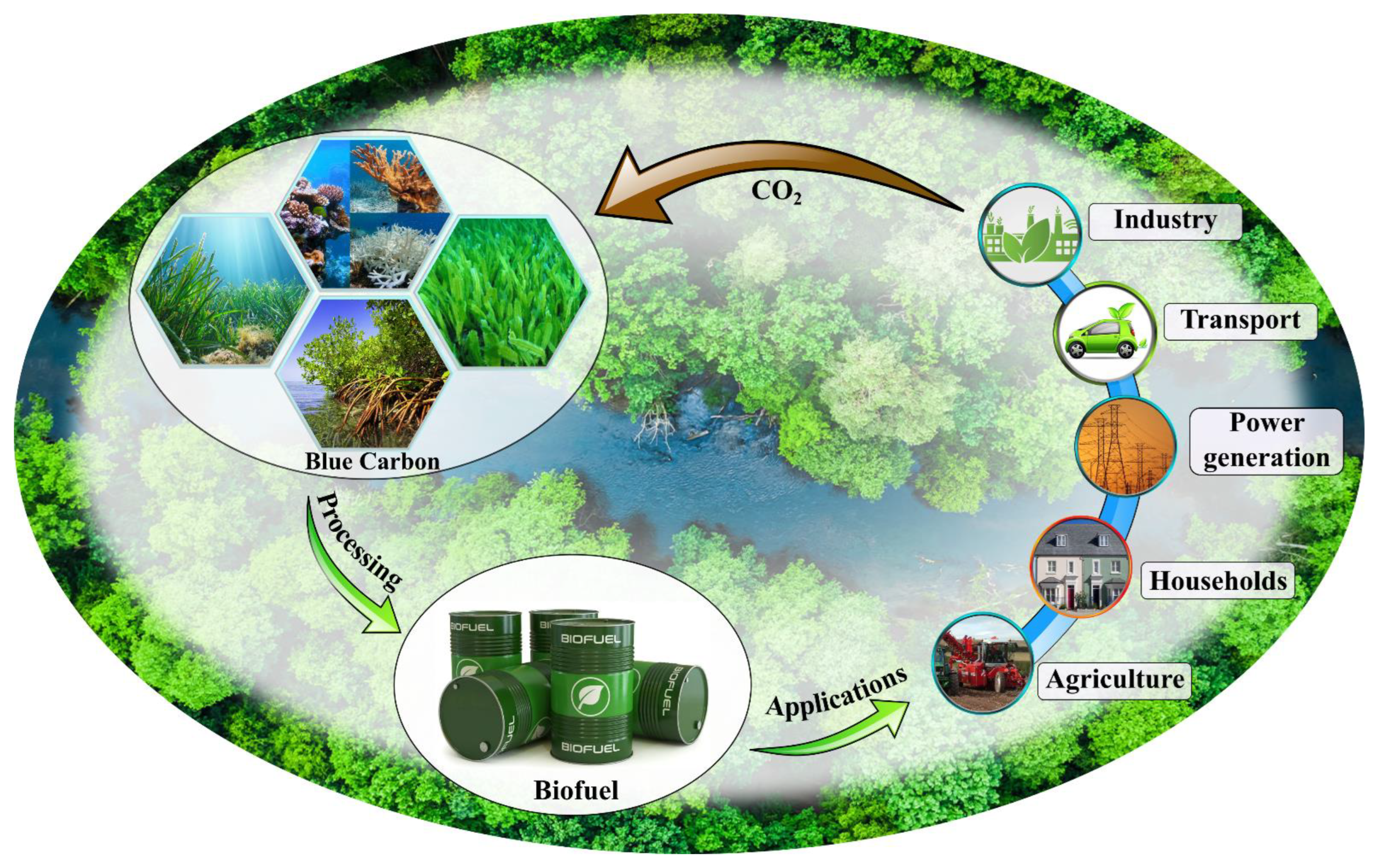 Turning Plastic Waste Into Carbon-Capture Master That Can Soak Up Excess  Carbon Dioxide