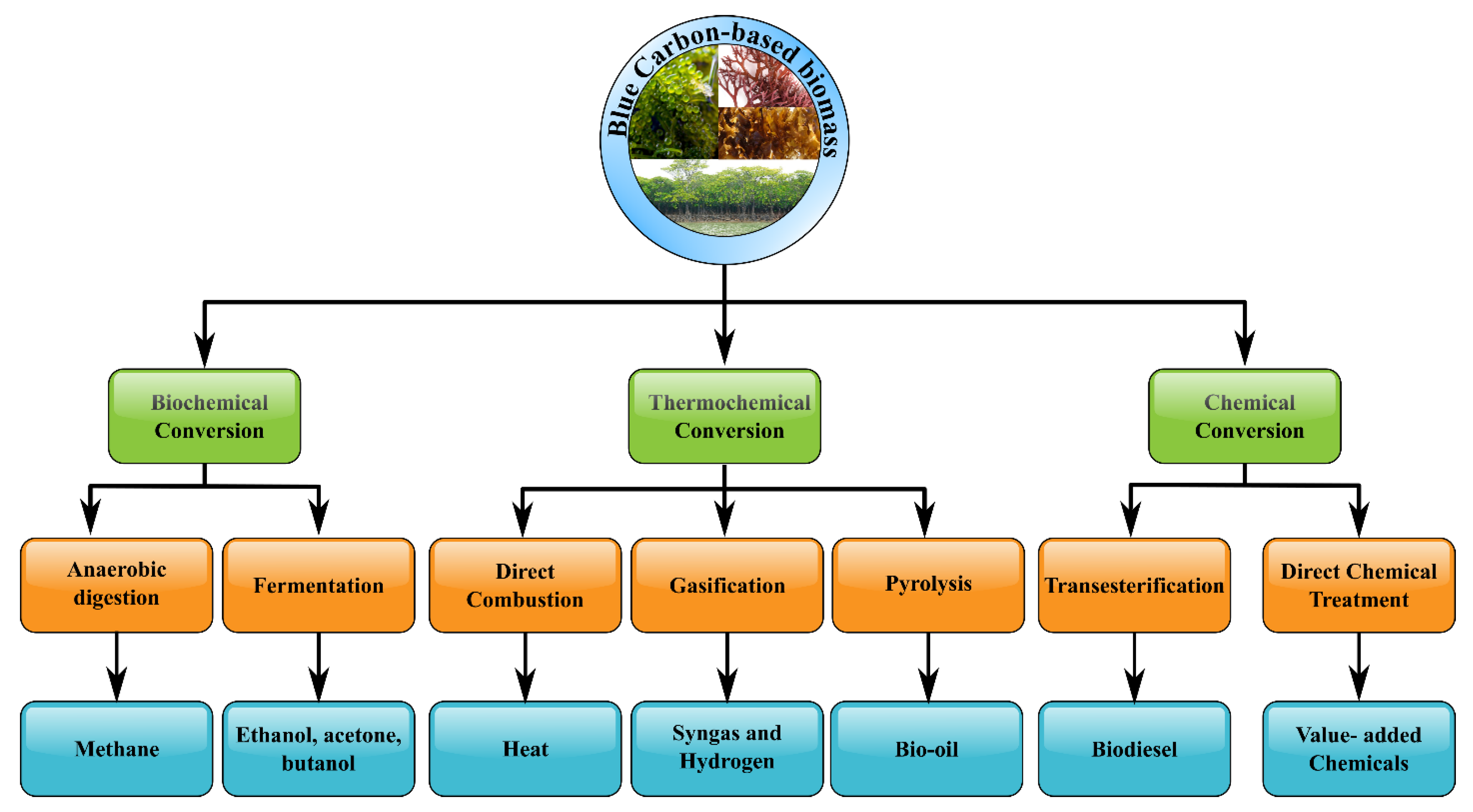 Sustainability 15 02682 g005 550