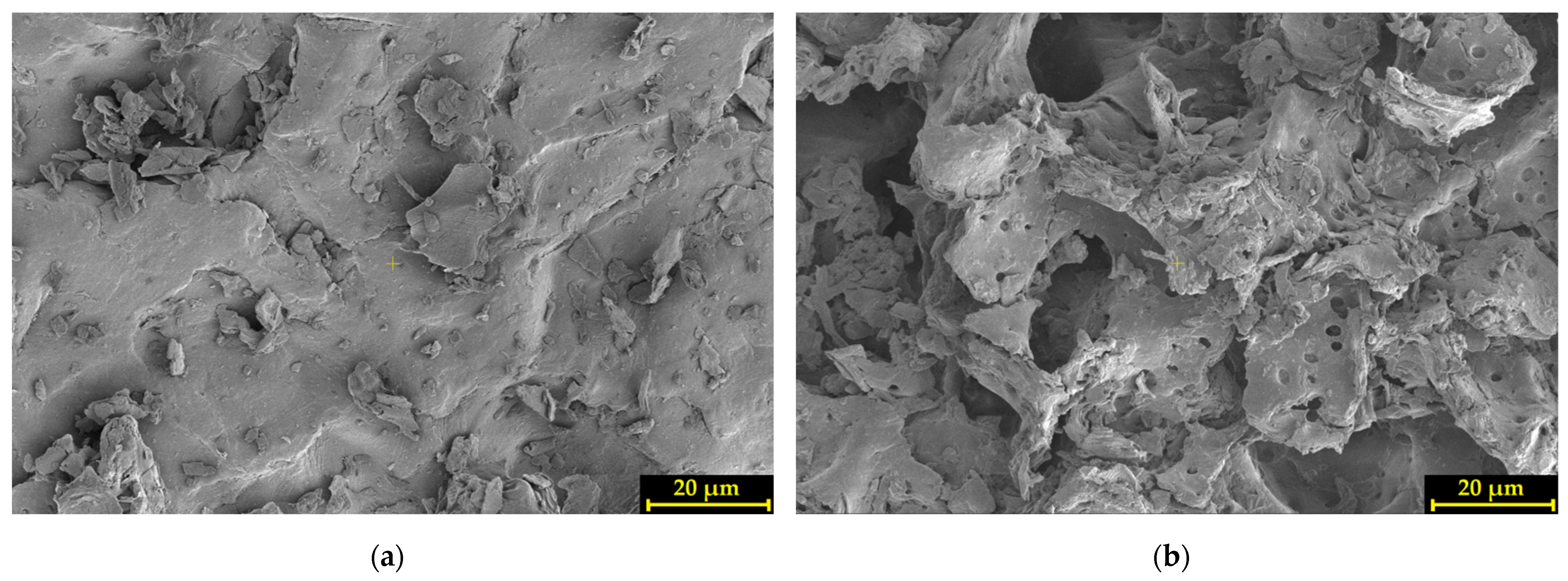 Sustainability 15 02704 g001a 550