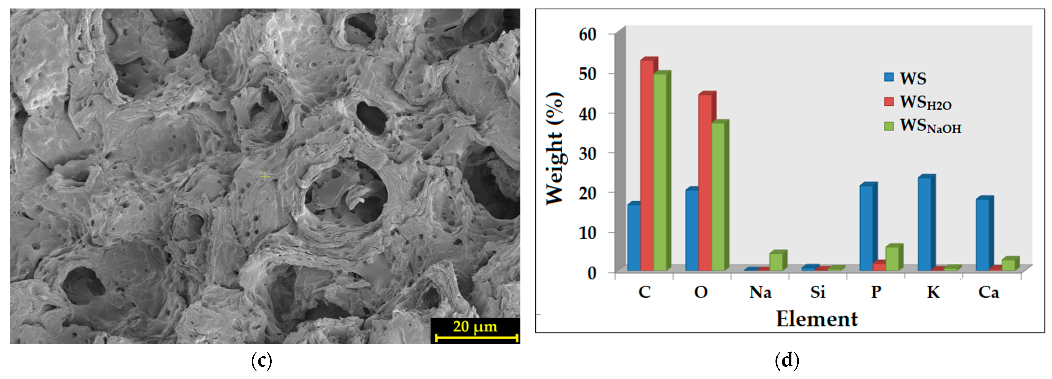 Sustainability 15 02704 g001b 550