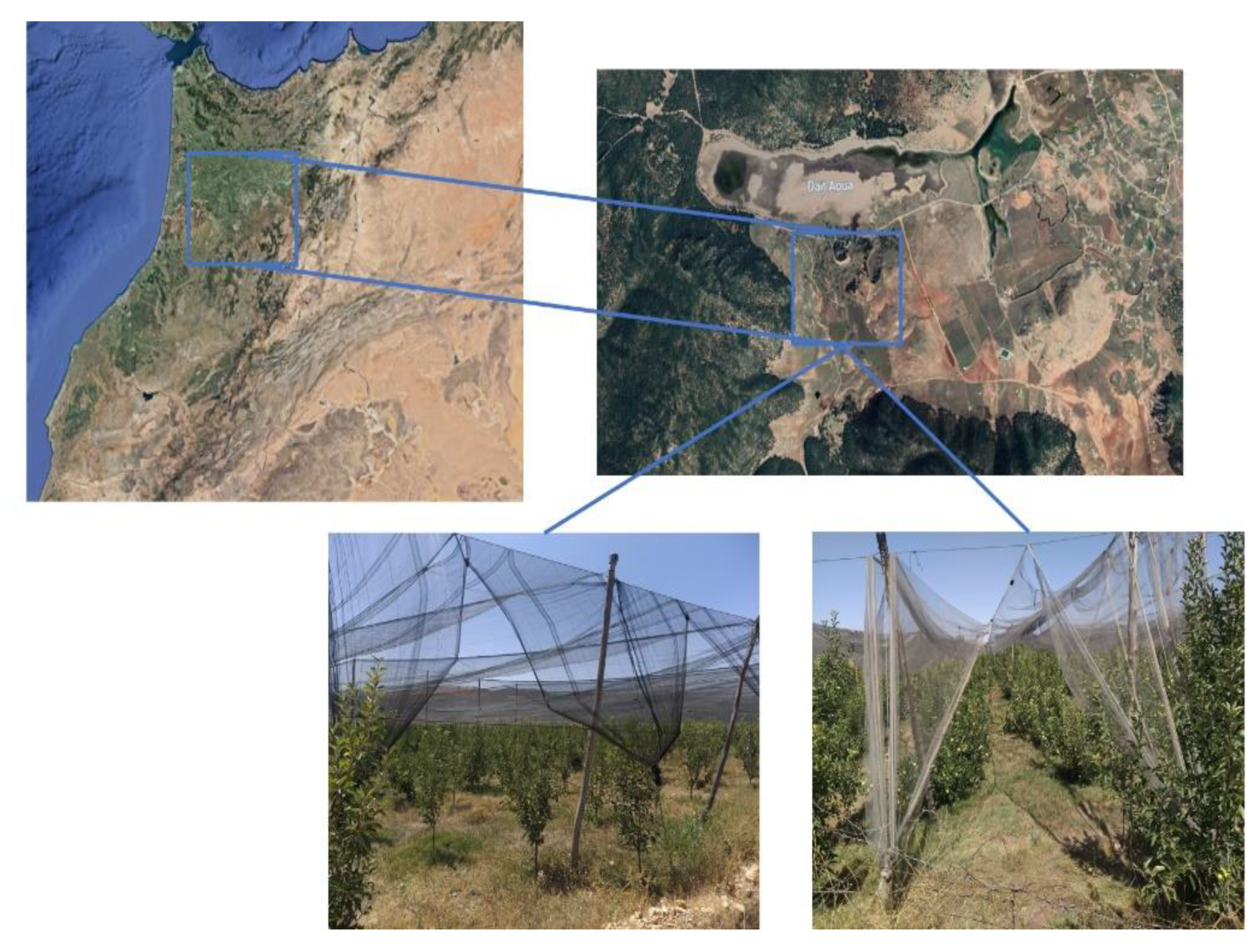Sustainability 15 02707 g001 Sustainability 15 02707 g001