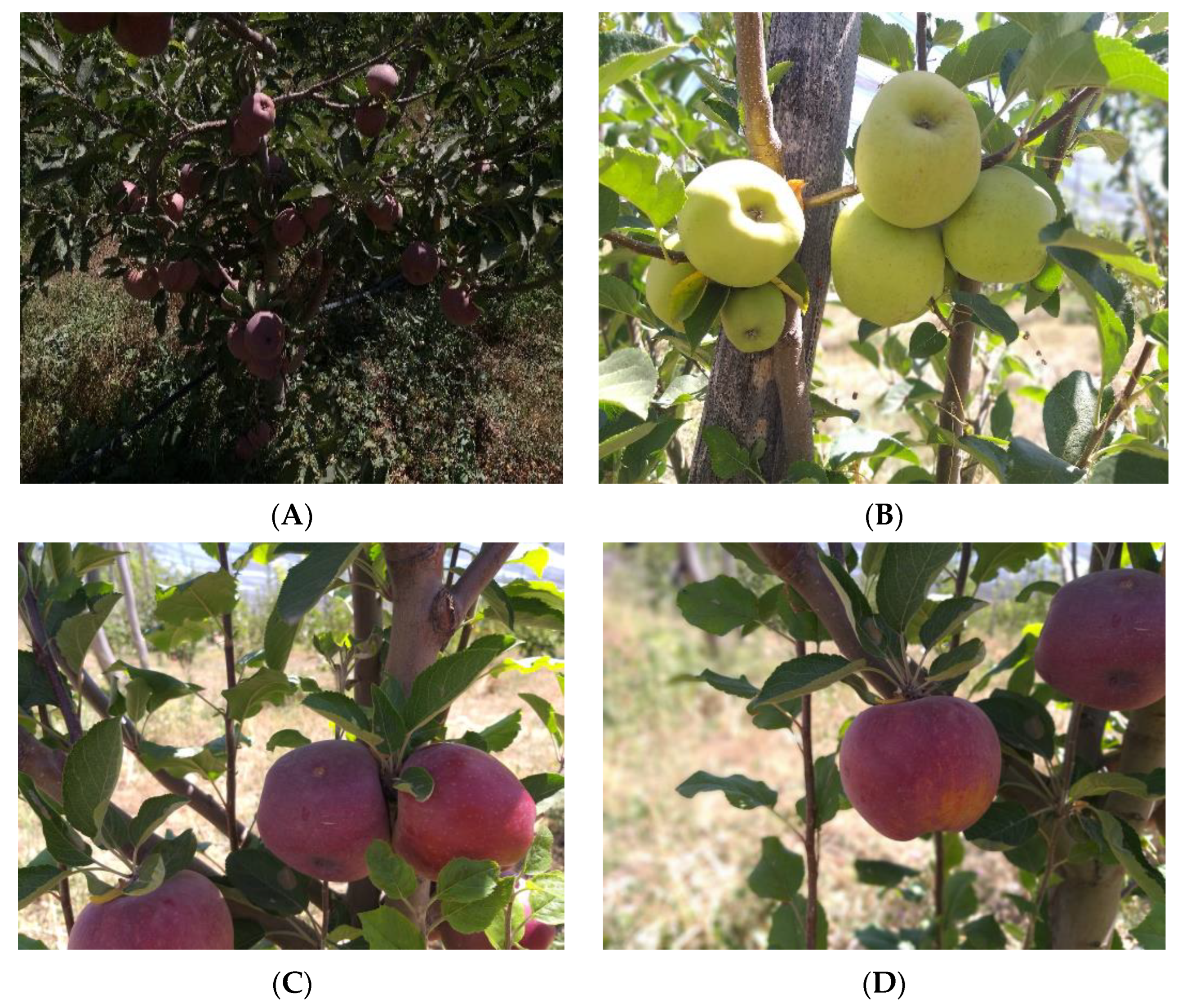 Sustainability 15 02707 g002 Sustainability 15 02707 g002